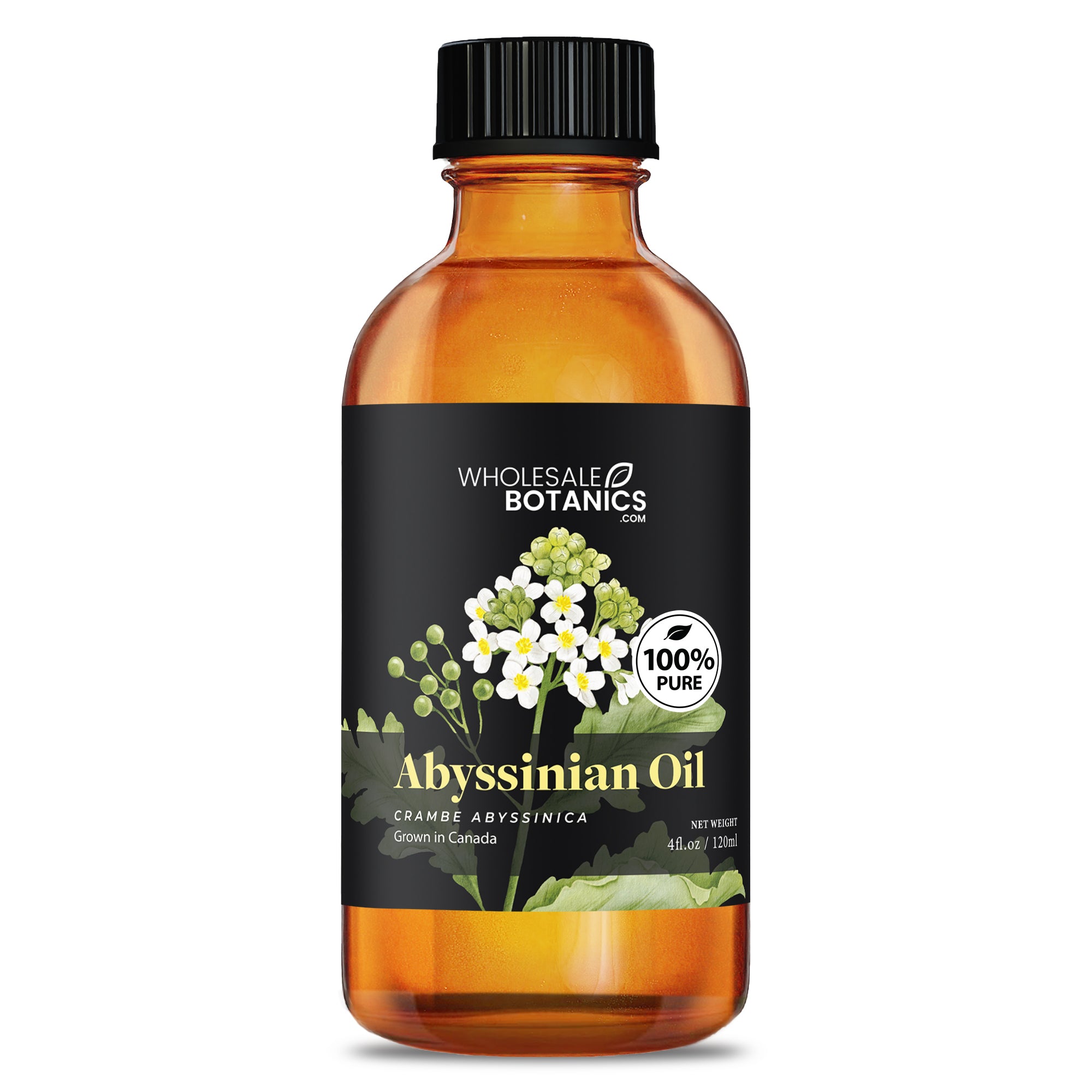 Abyssinian Oil