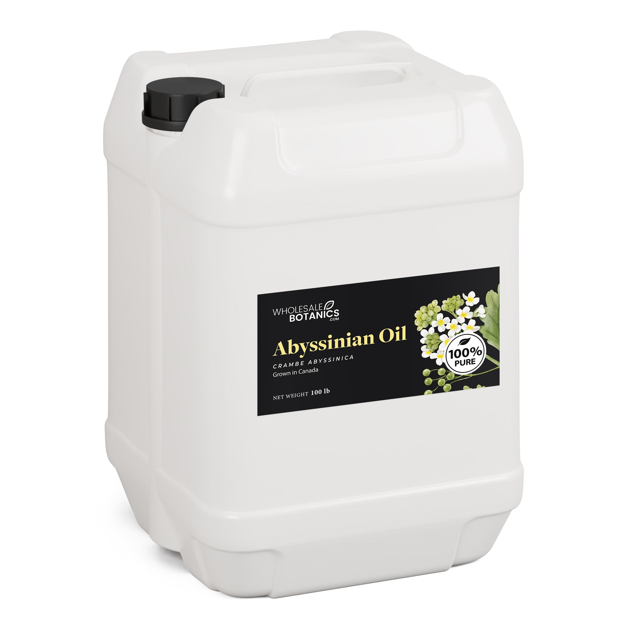 Abyssinian Oil