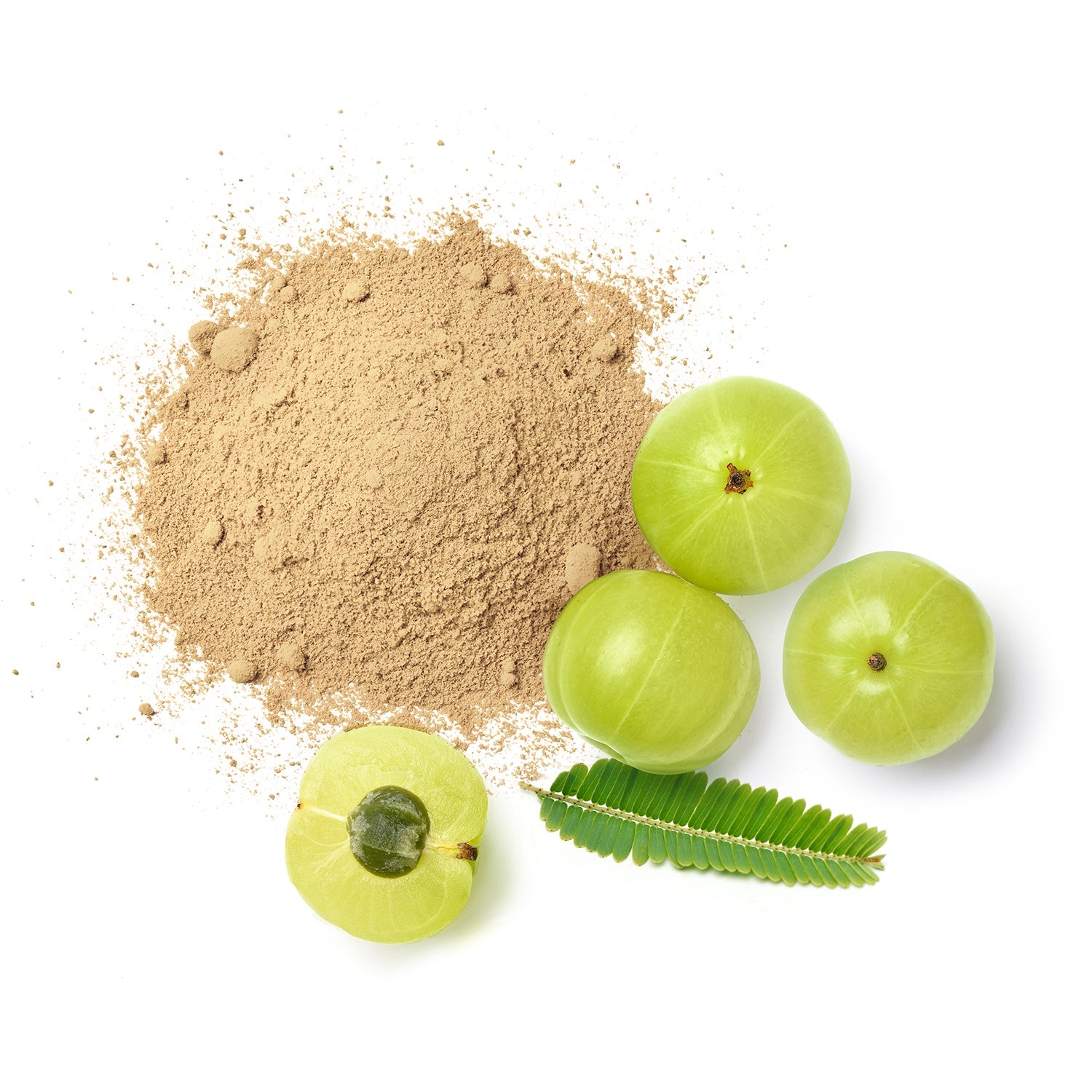 Amla Powder