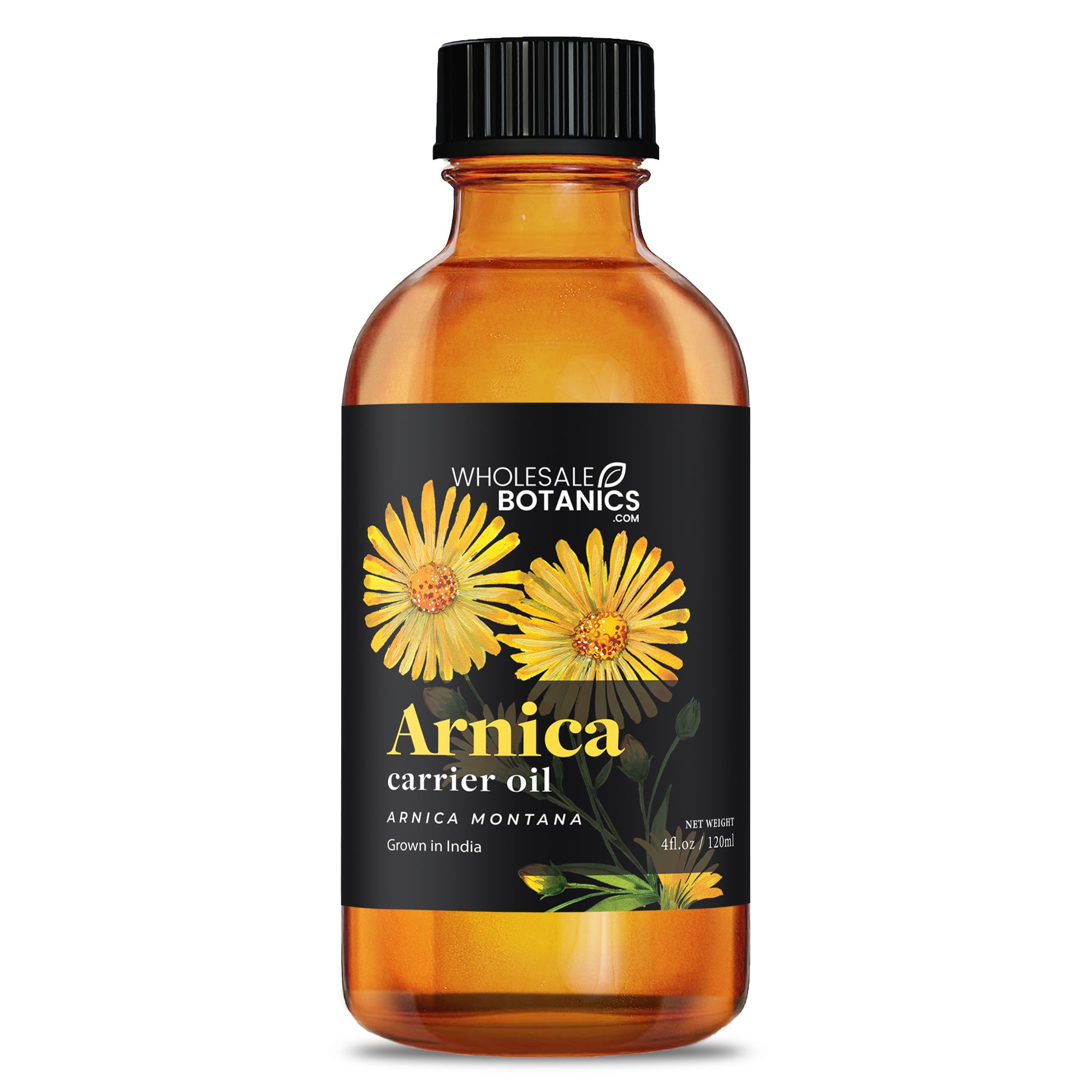 Arnica Carrier Oil - 4 oz