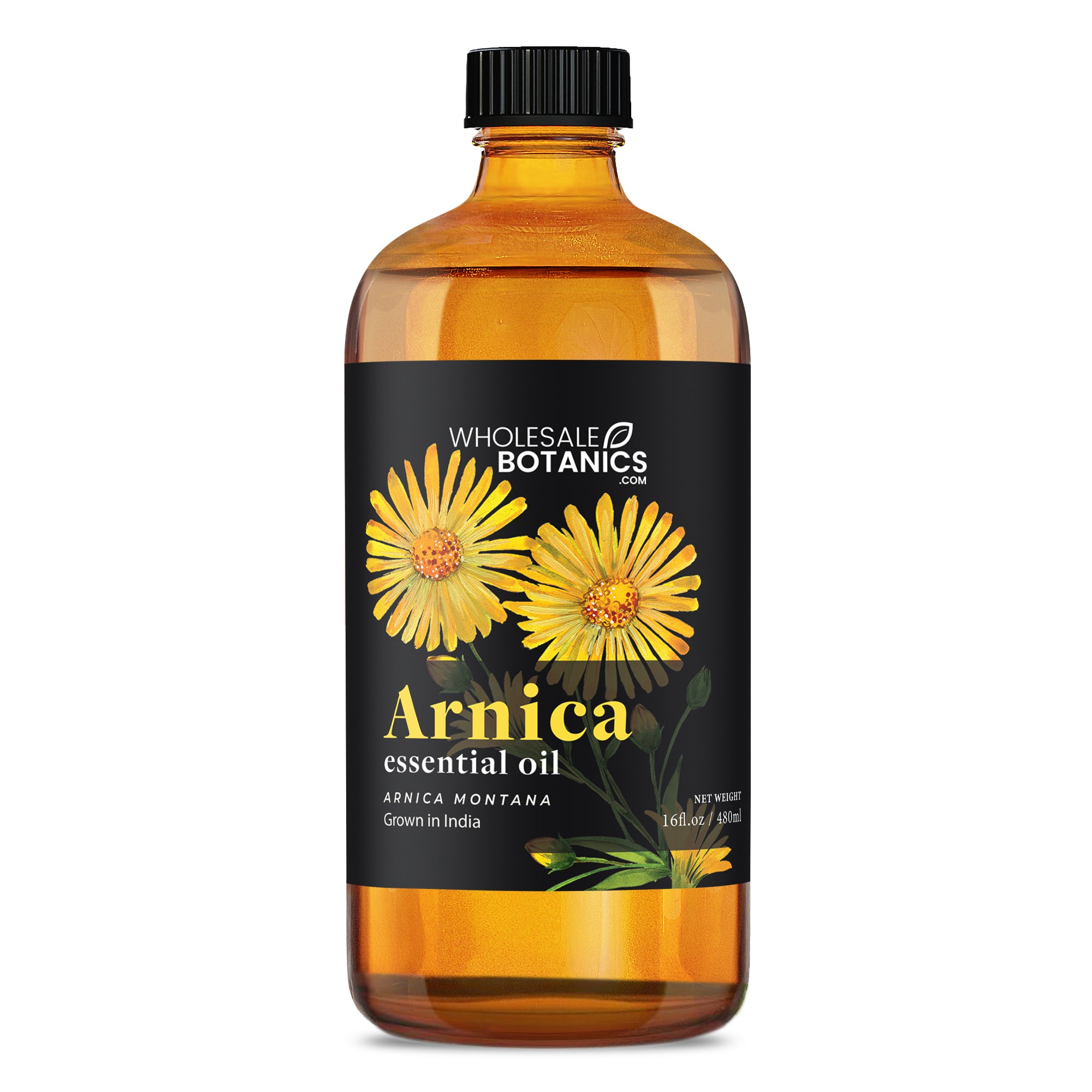 Arnica Essential Oil - 16 oz