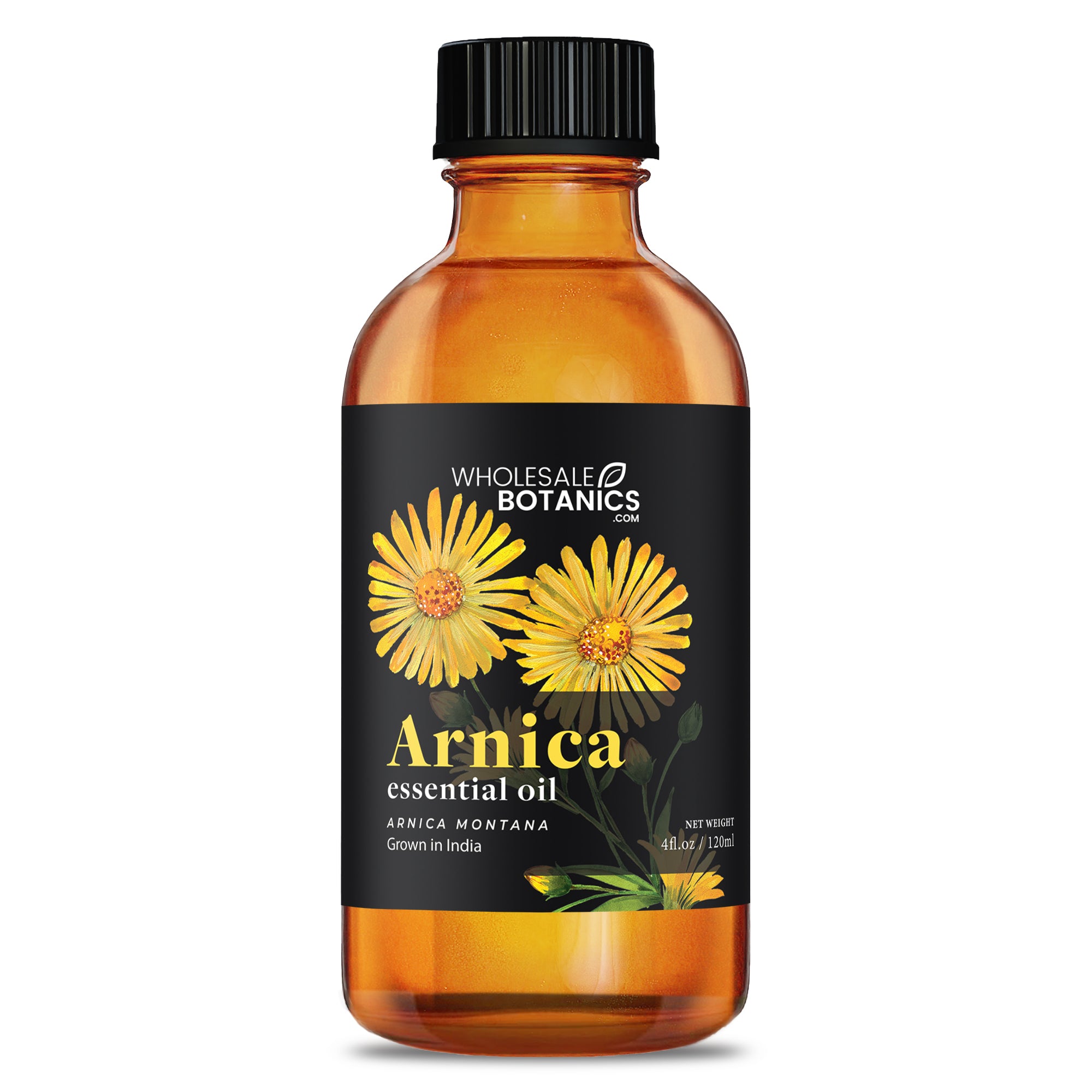 Arnica Essential Oil - 4 oz
