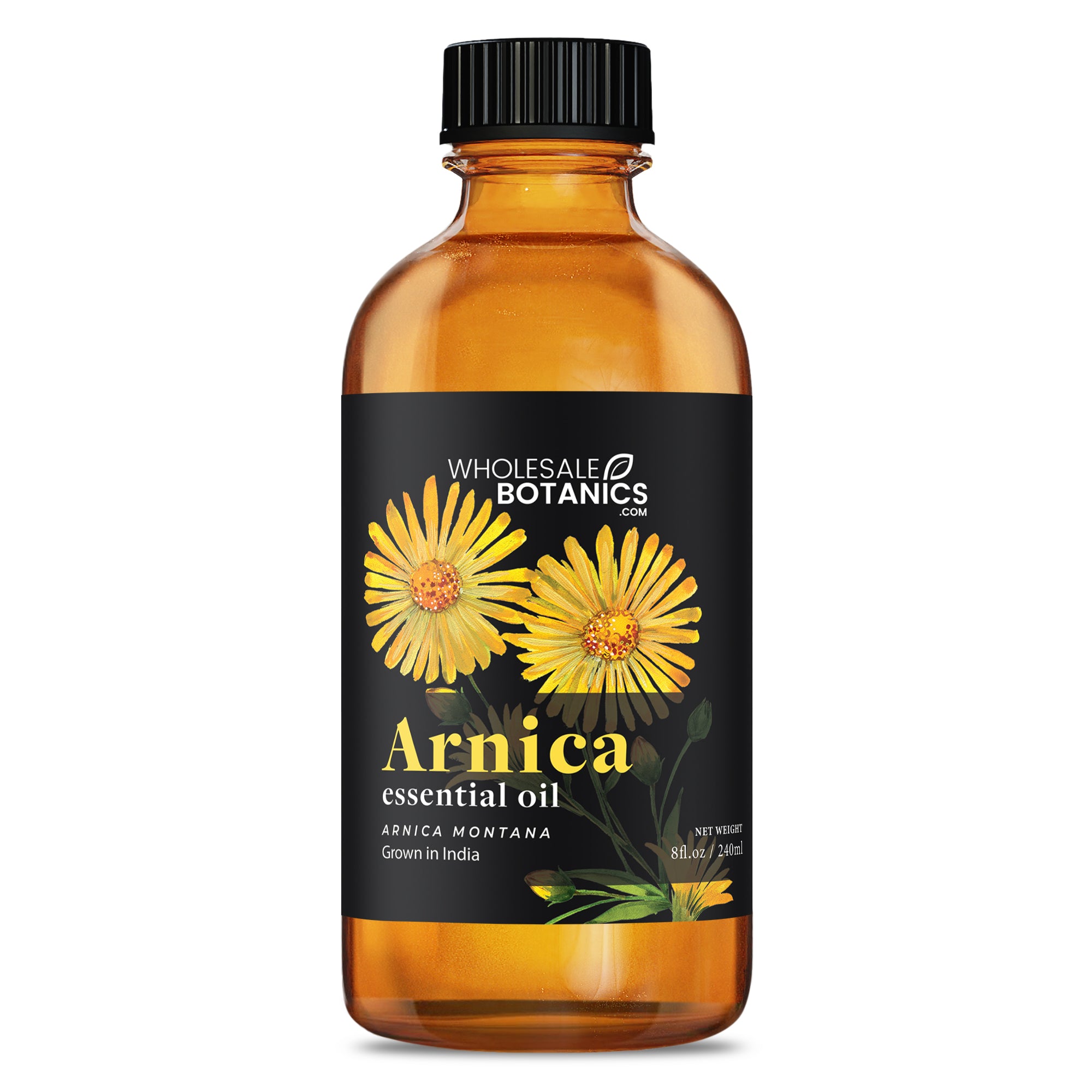 Arnica Essential Oil - 8 oz