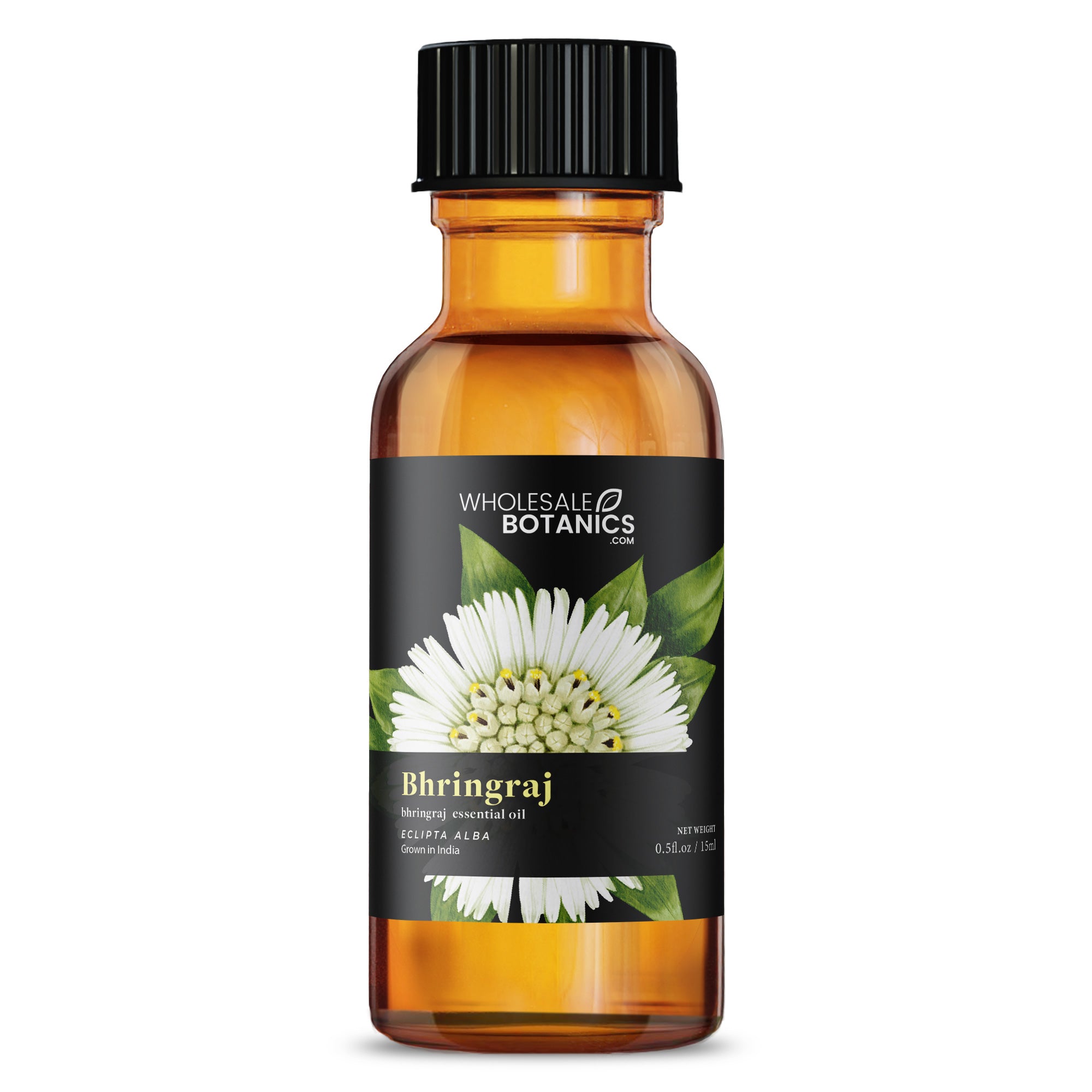 Beautiful Bhringraj Oil Photo Art Beautiful Bhringraj Oil Photo Art