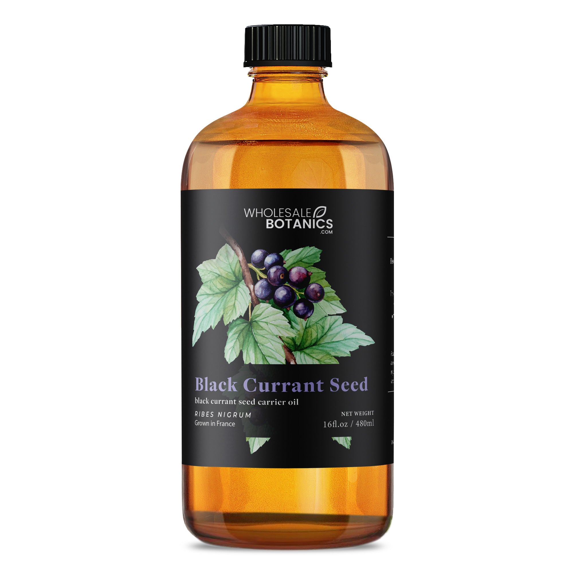 Black Currant Seed Oil Wholesale Botanics black-currant-seed-oil-wholesale-botanics