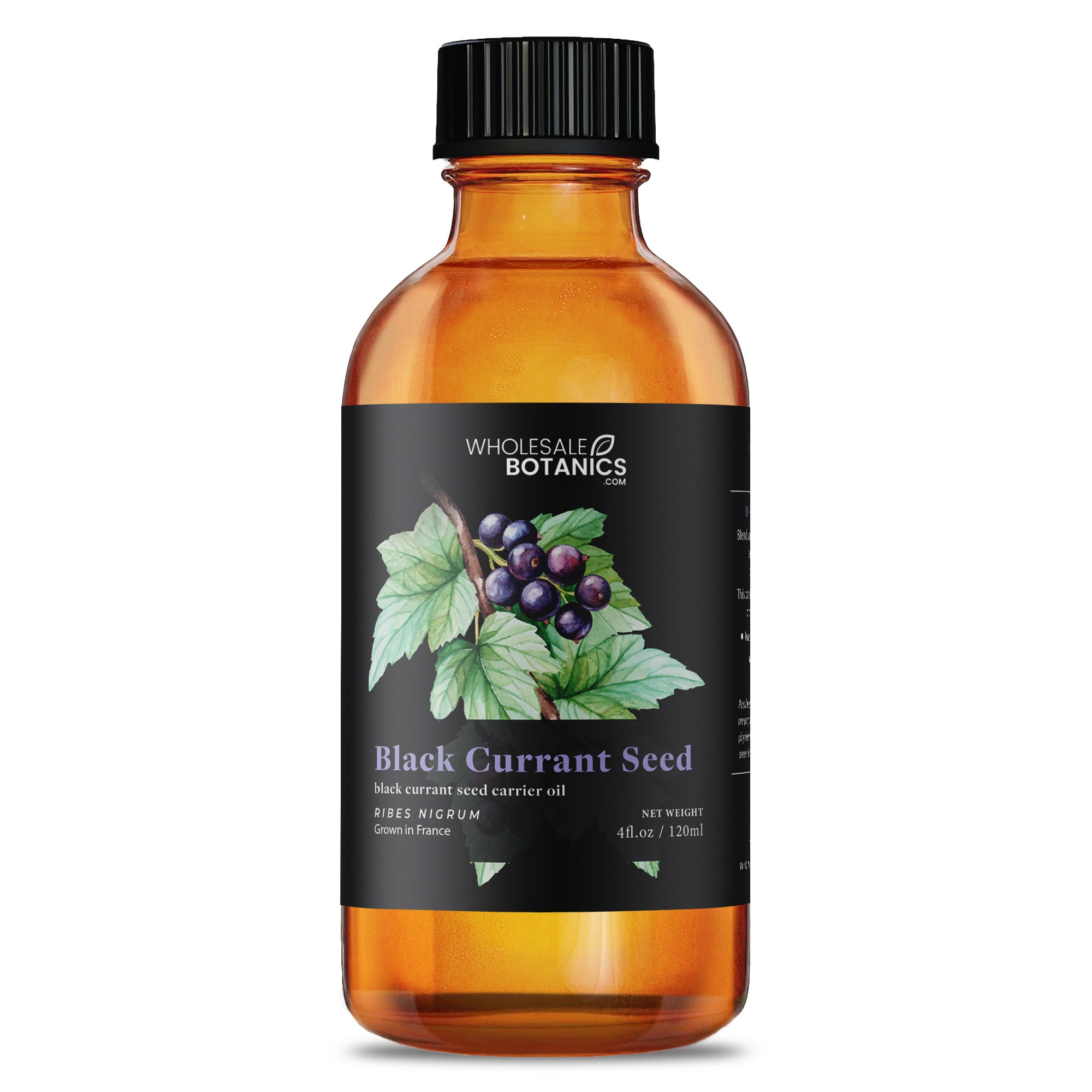 Black Currant Seed Oil Wholesale Botanics black-currant-seed-oil-wholesale-botanics