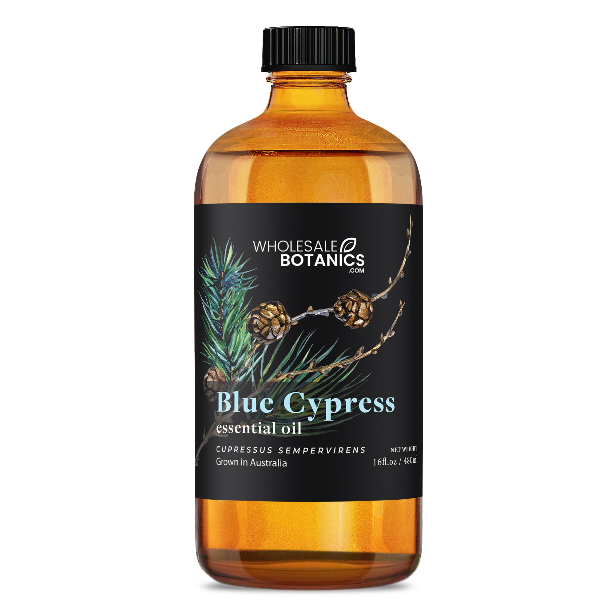 Blue Cypress Essential Oil