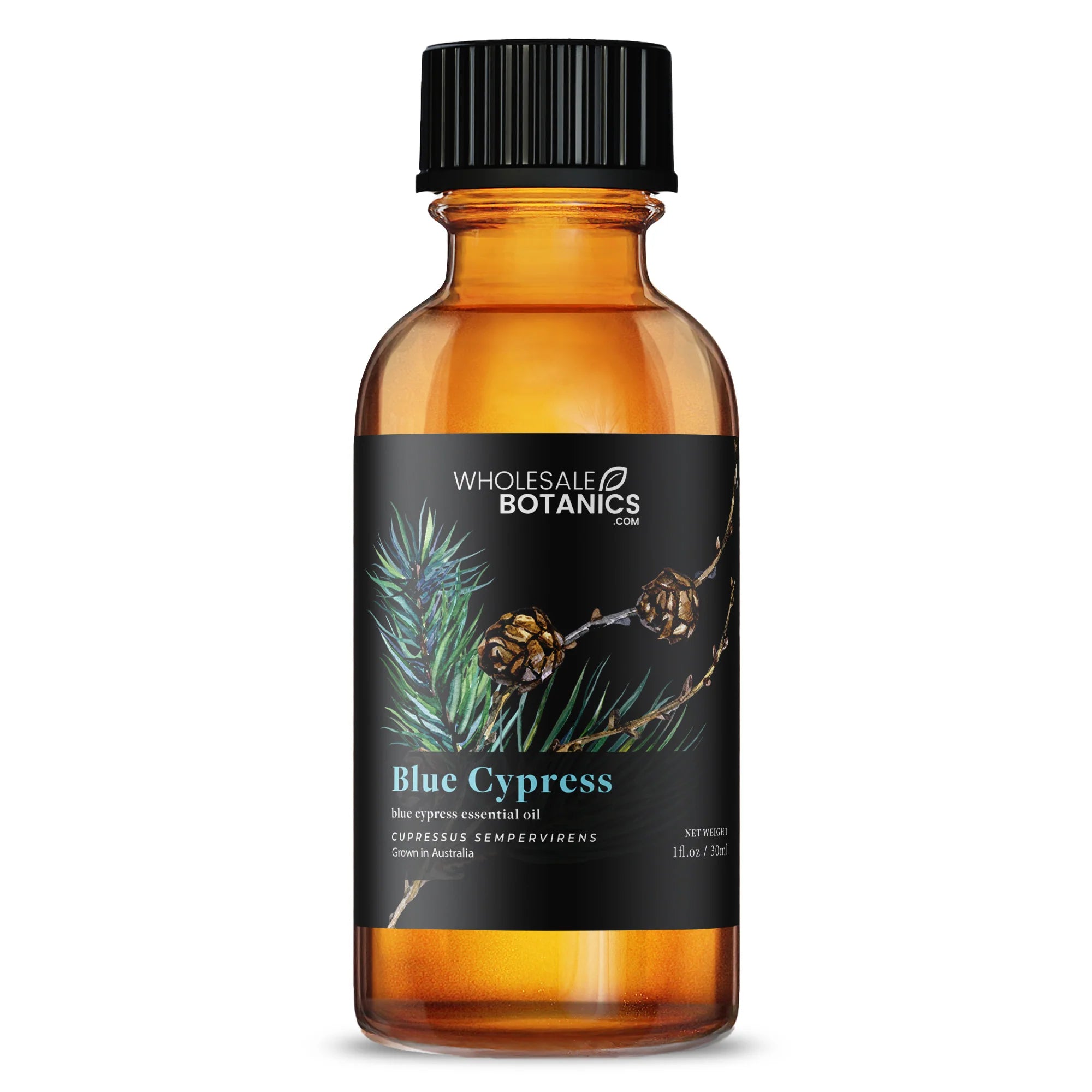 Woodsy Wonders Essential Oil Bundle