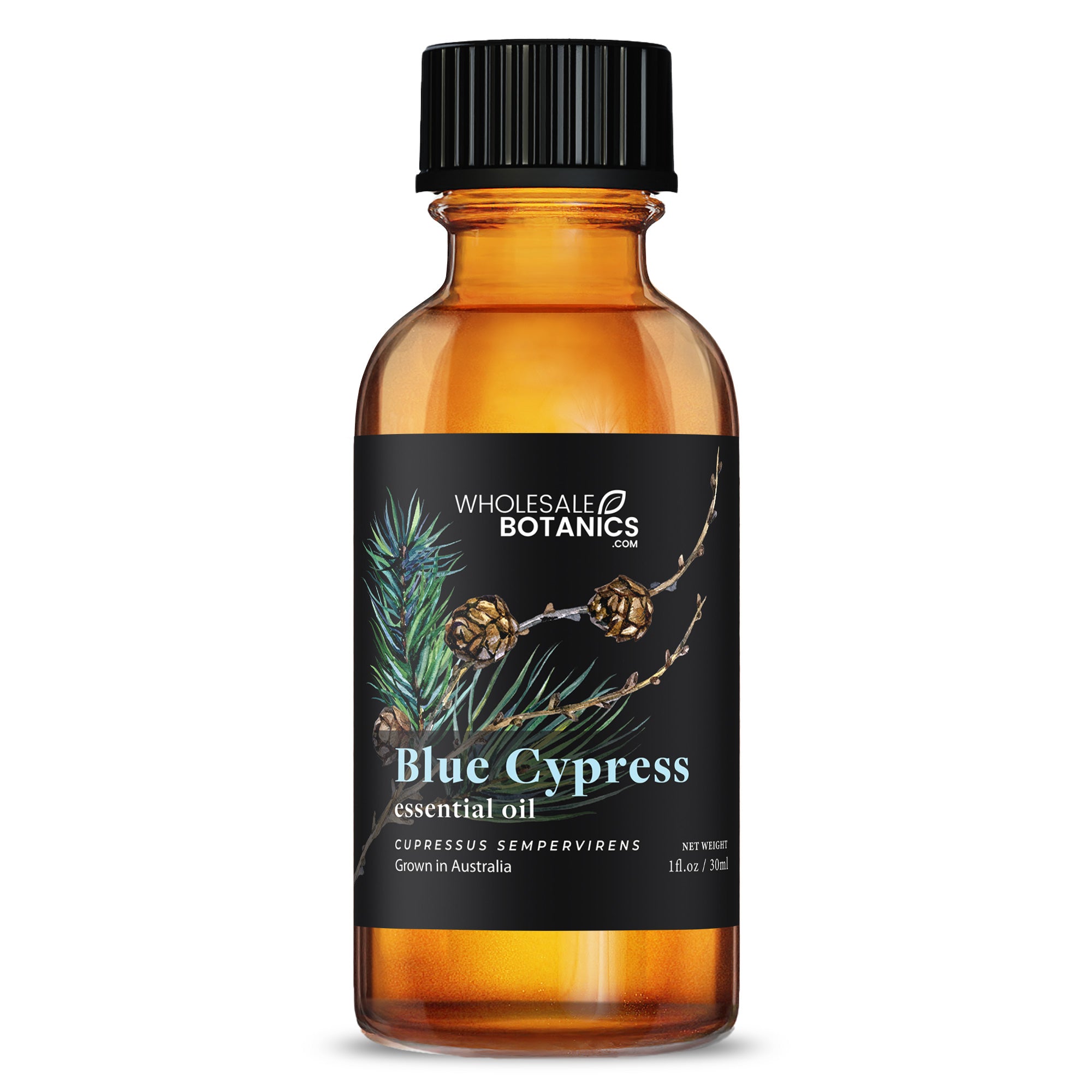 Blue Cypress Essential Oil