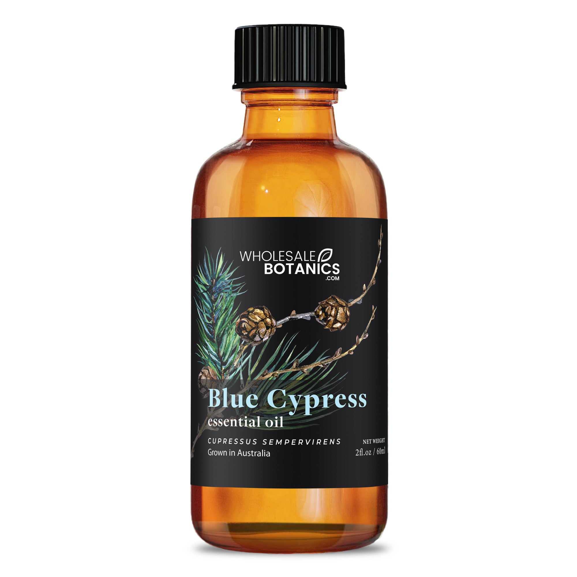 Blue Cypress Essential Oil