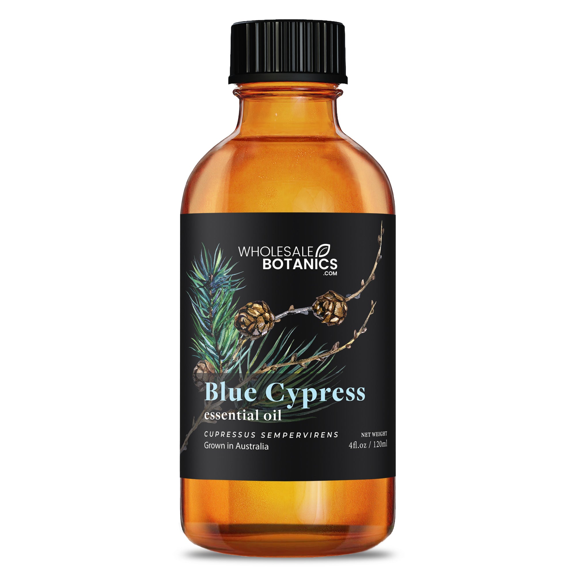 Blue Cypress Essential Oil