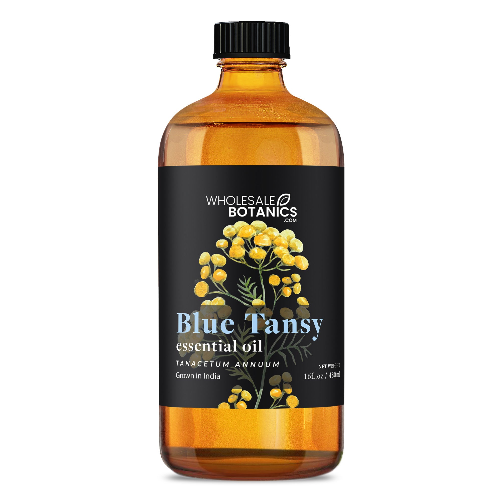 Blue Tansy Essential Oil