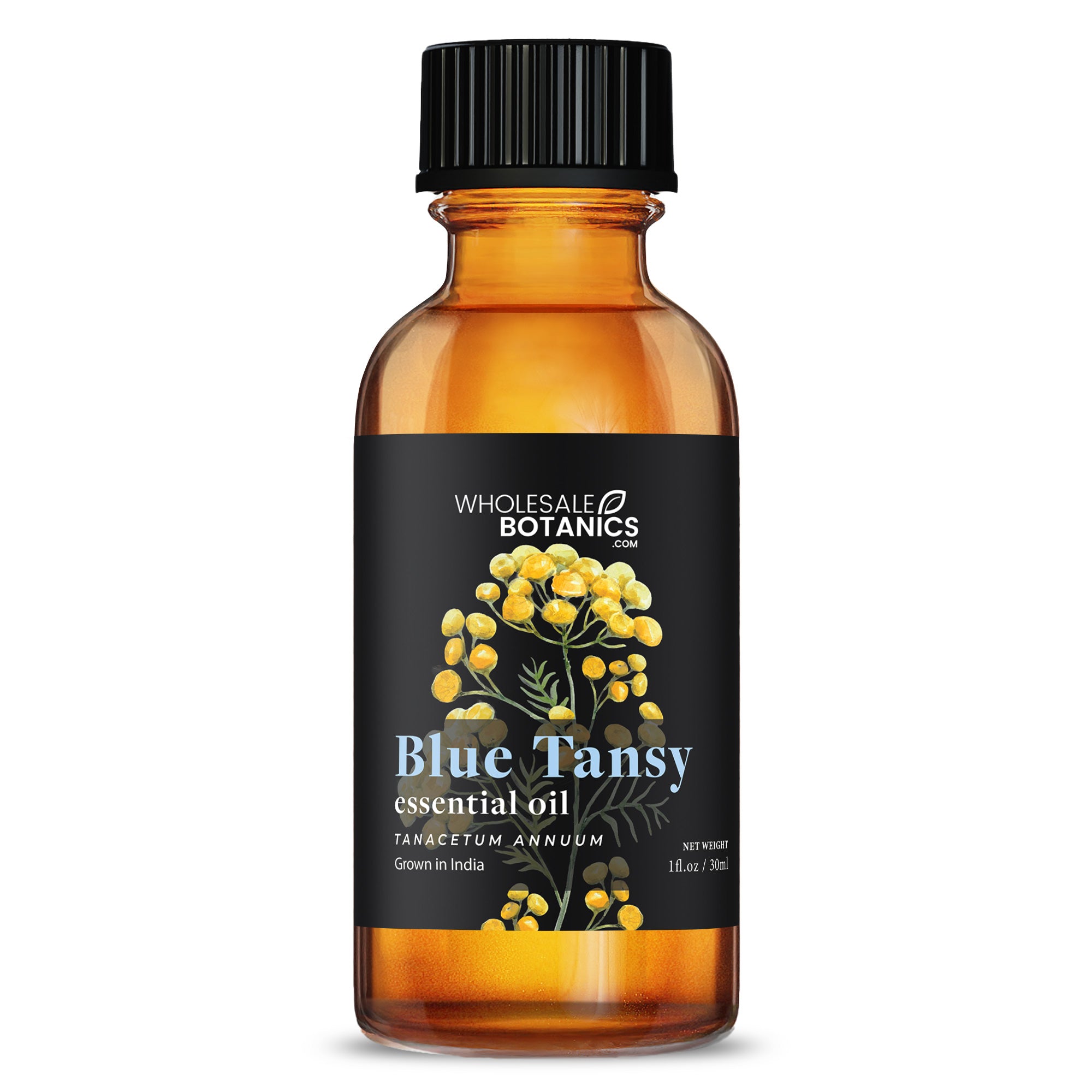 Blue Tansy Essential Oil