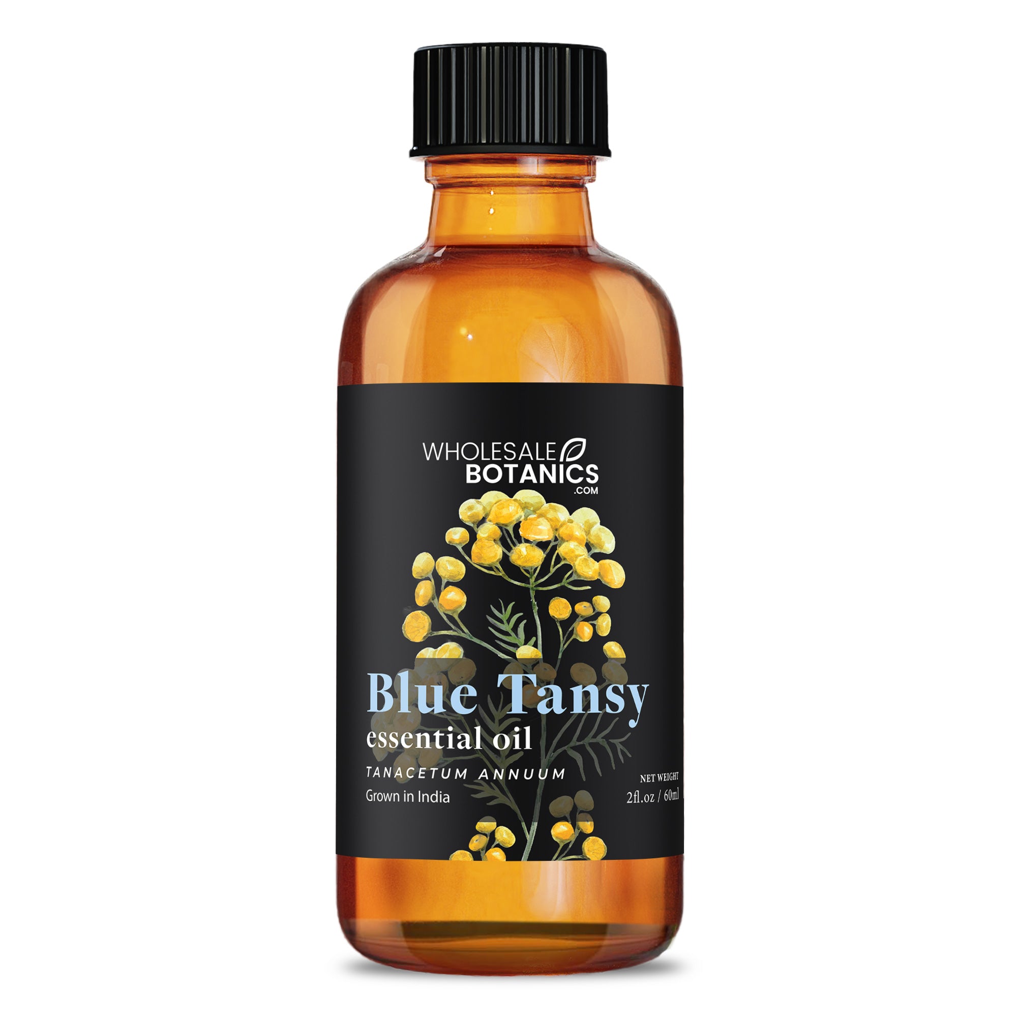 Blue Tansy Essential Oil Botanical
