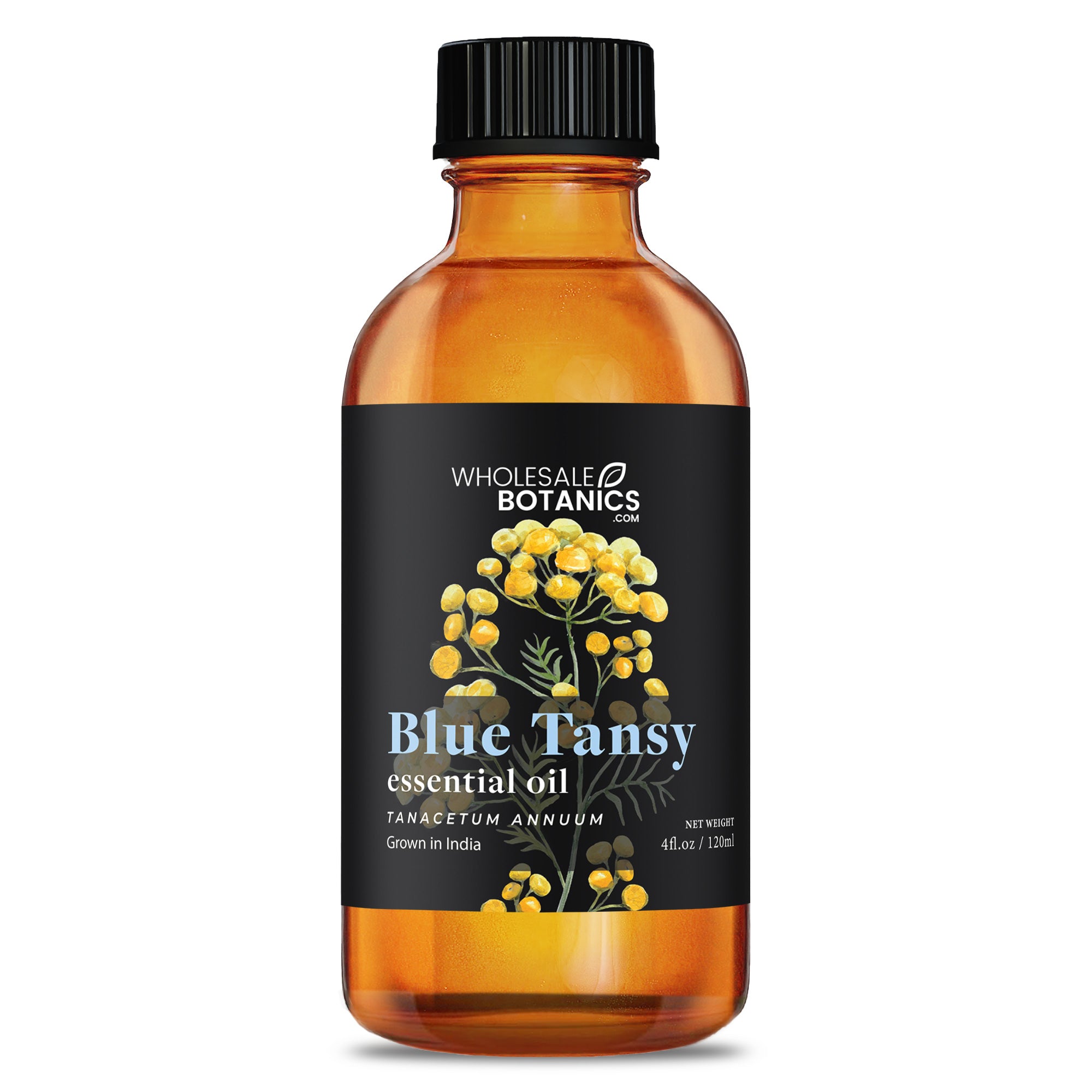 Blue Tansy Essential Oil
