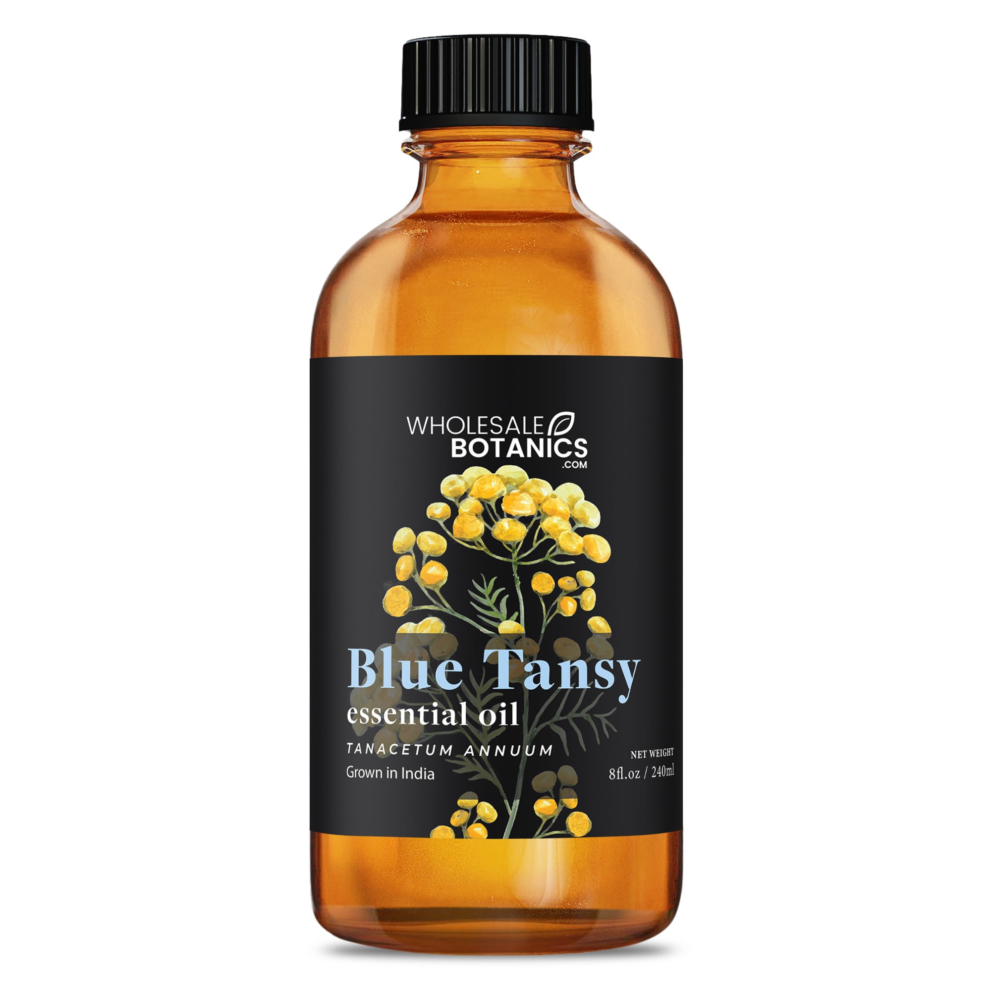 Blue Tansy Essential Oil