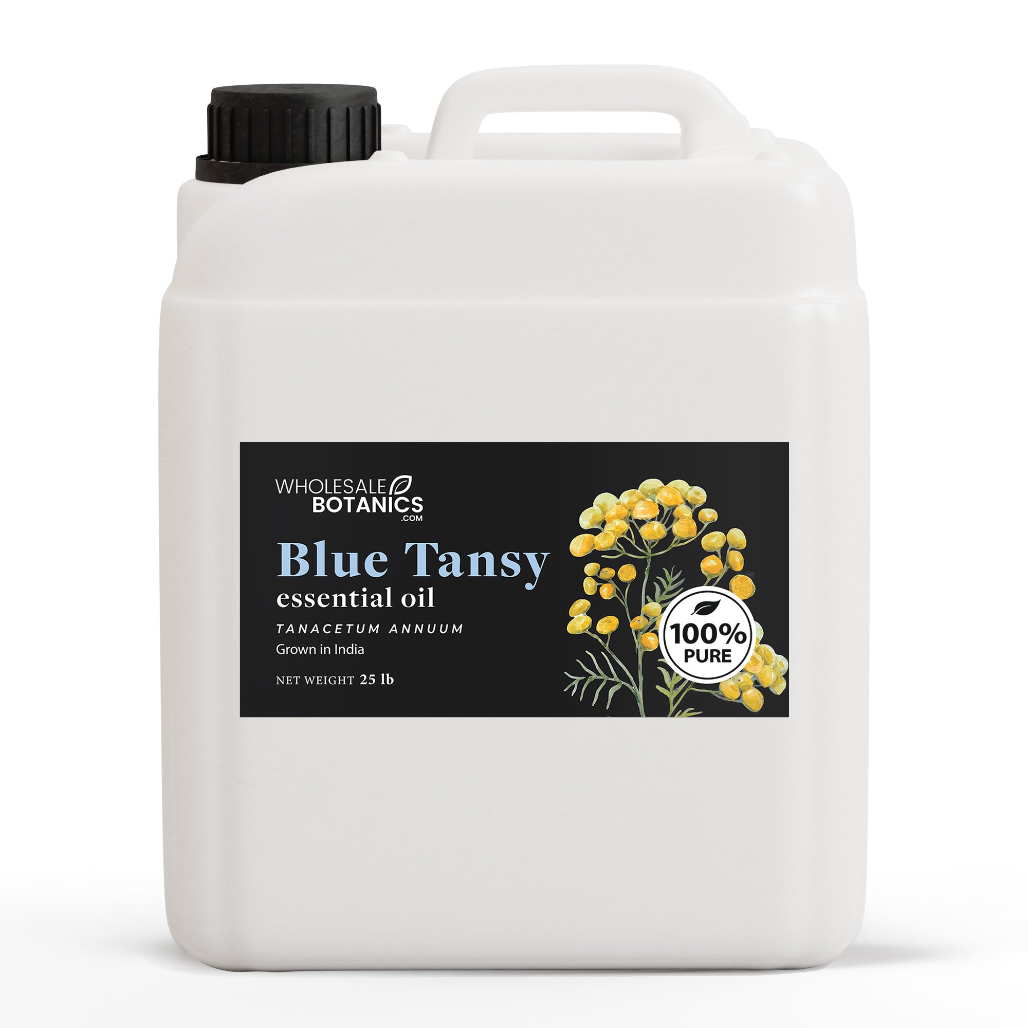 Blue Tansy Essential Oil Purity