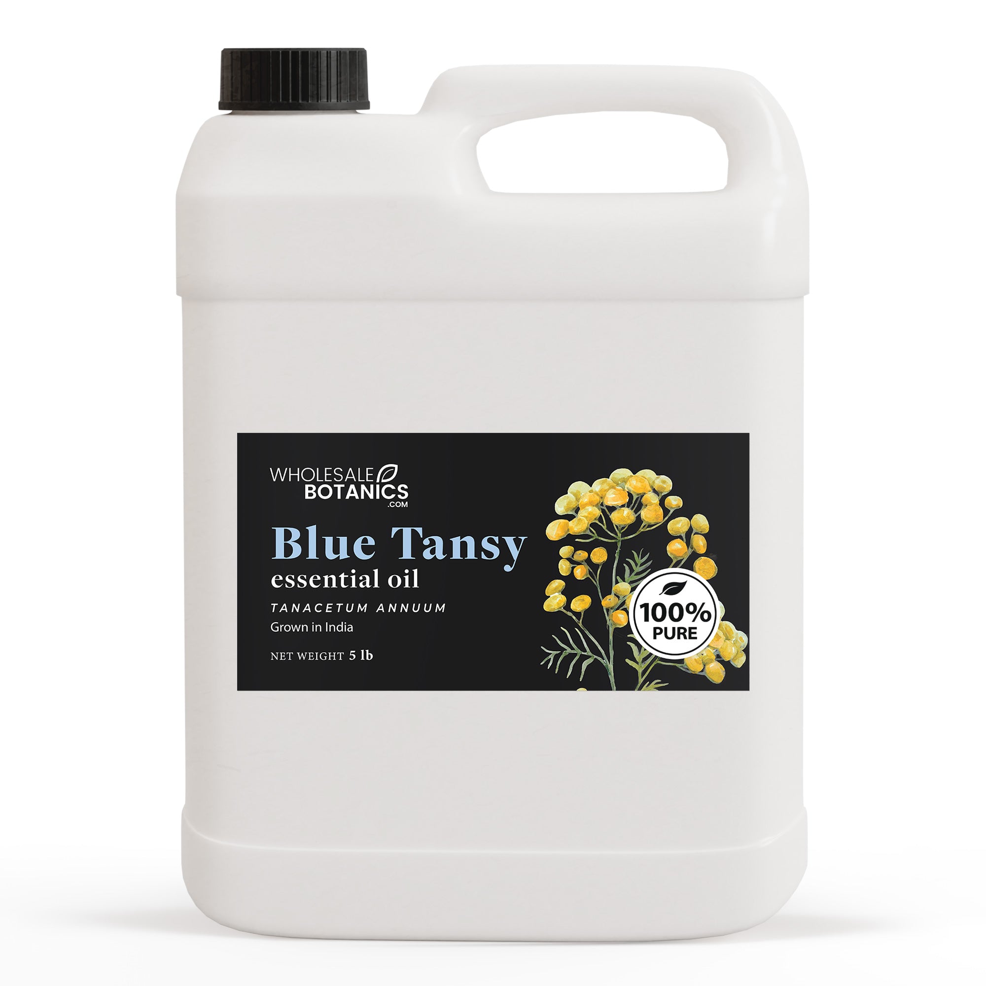 Blue Tansy Essential Oil Purity