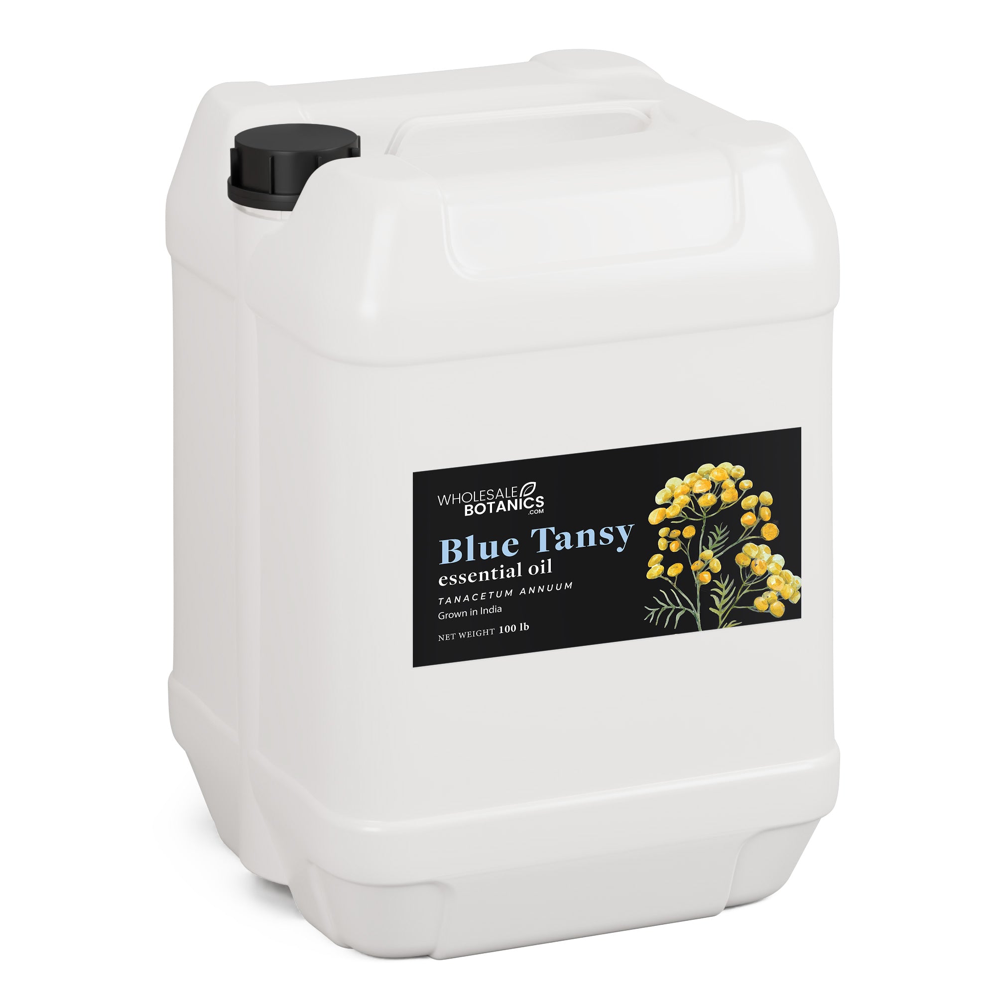 Blue Tansy Essential Oil