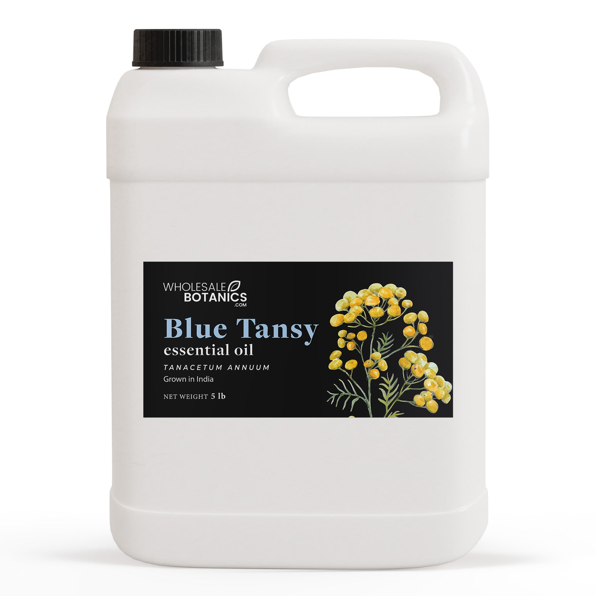 Blue Tansy Essential Oil Botanical