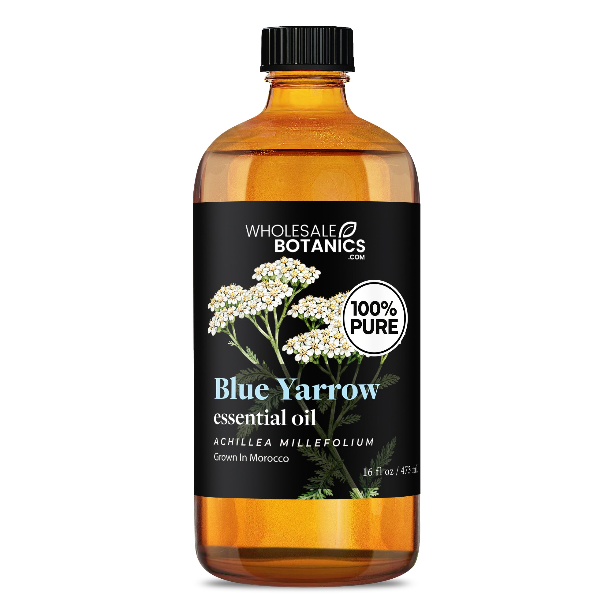 Blue Yarrow Essential Oil