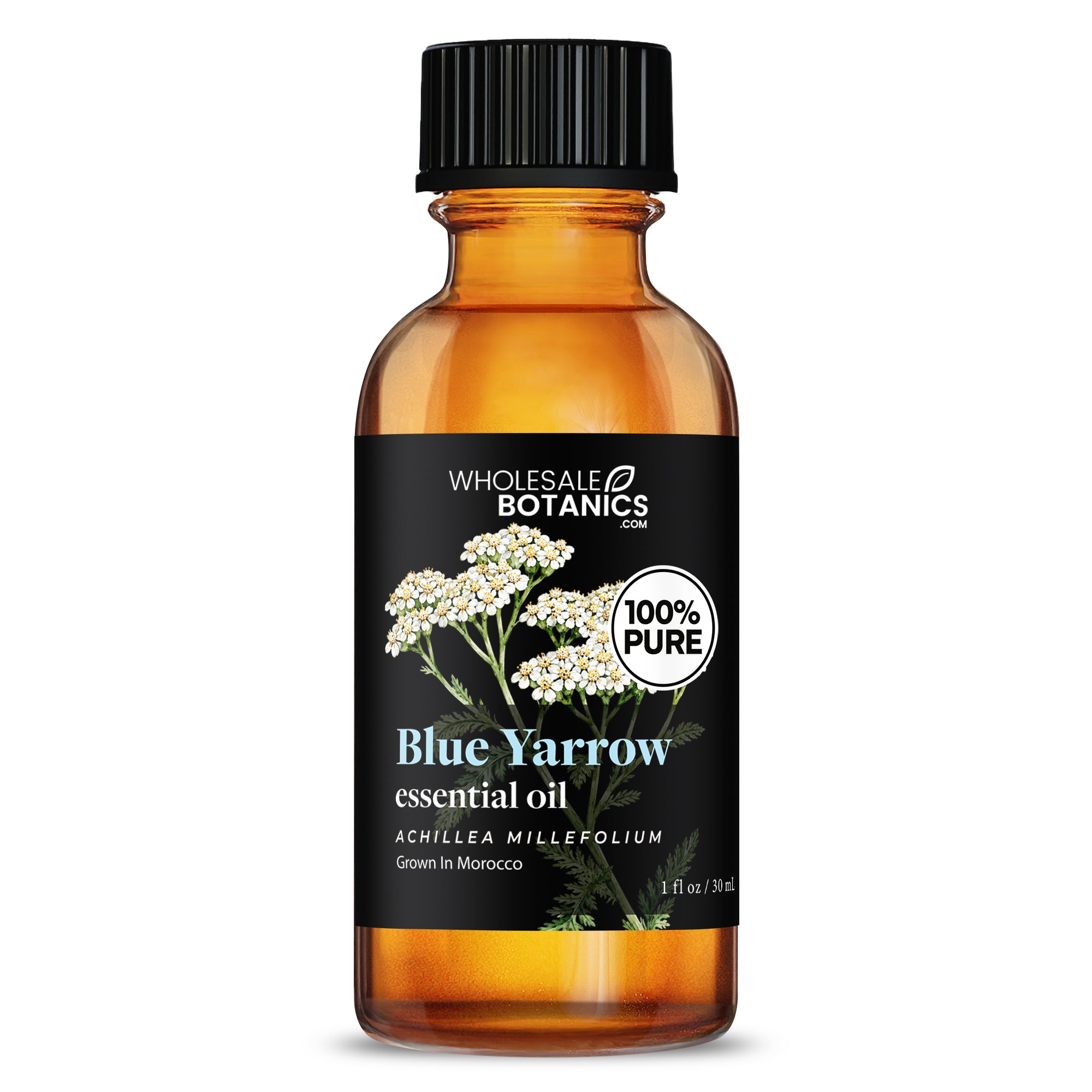 Blue Yarrow Essential Oil