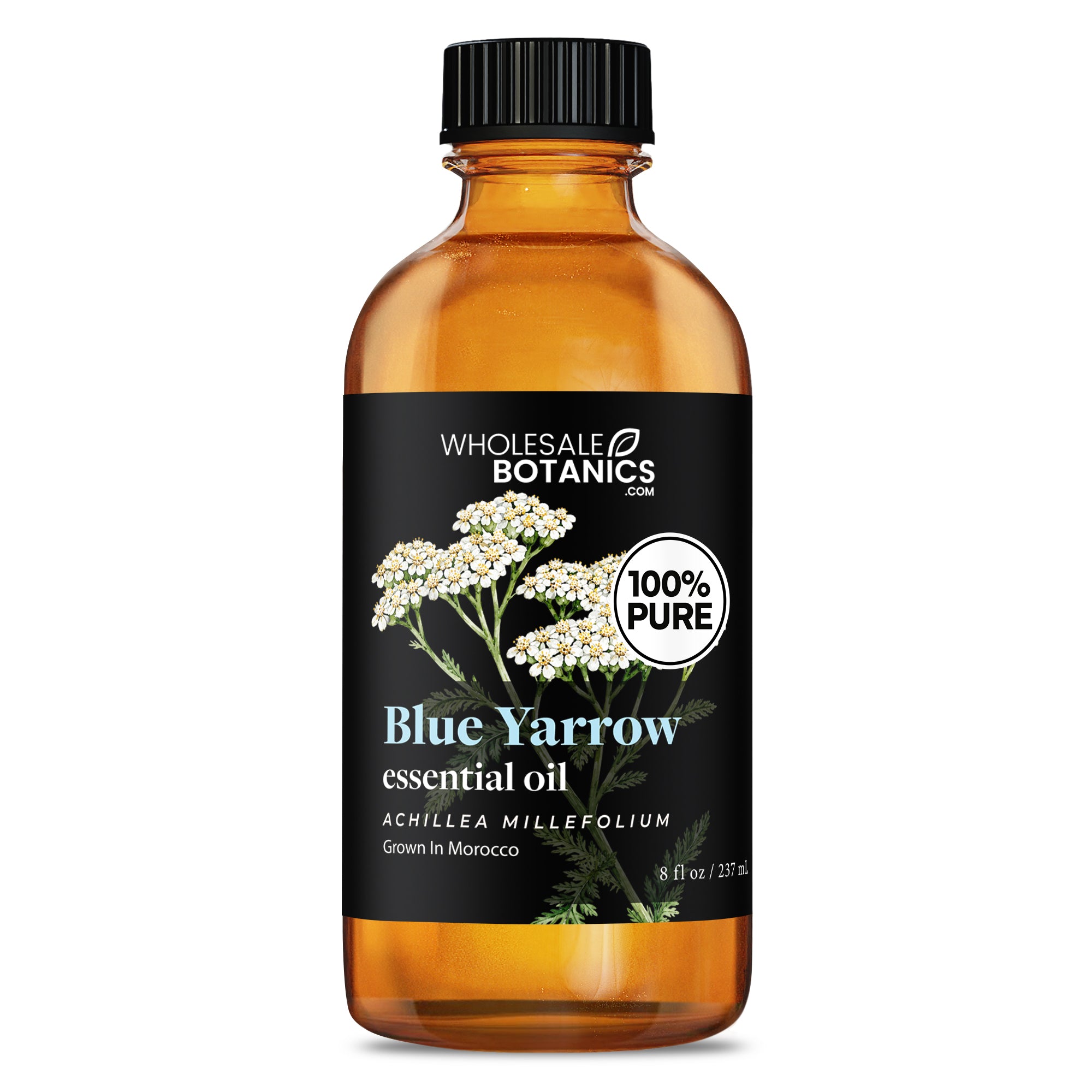 Blue Yarrow Essential Oil