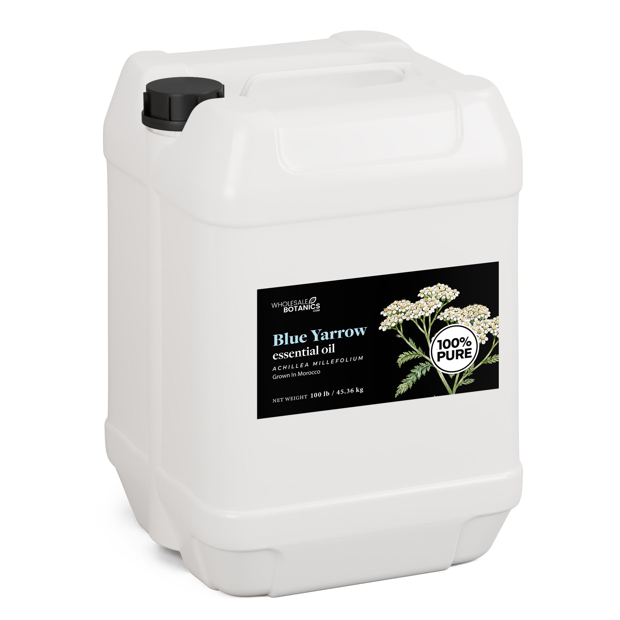 Blue Yarrow Essential Oil