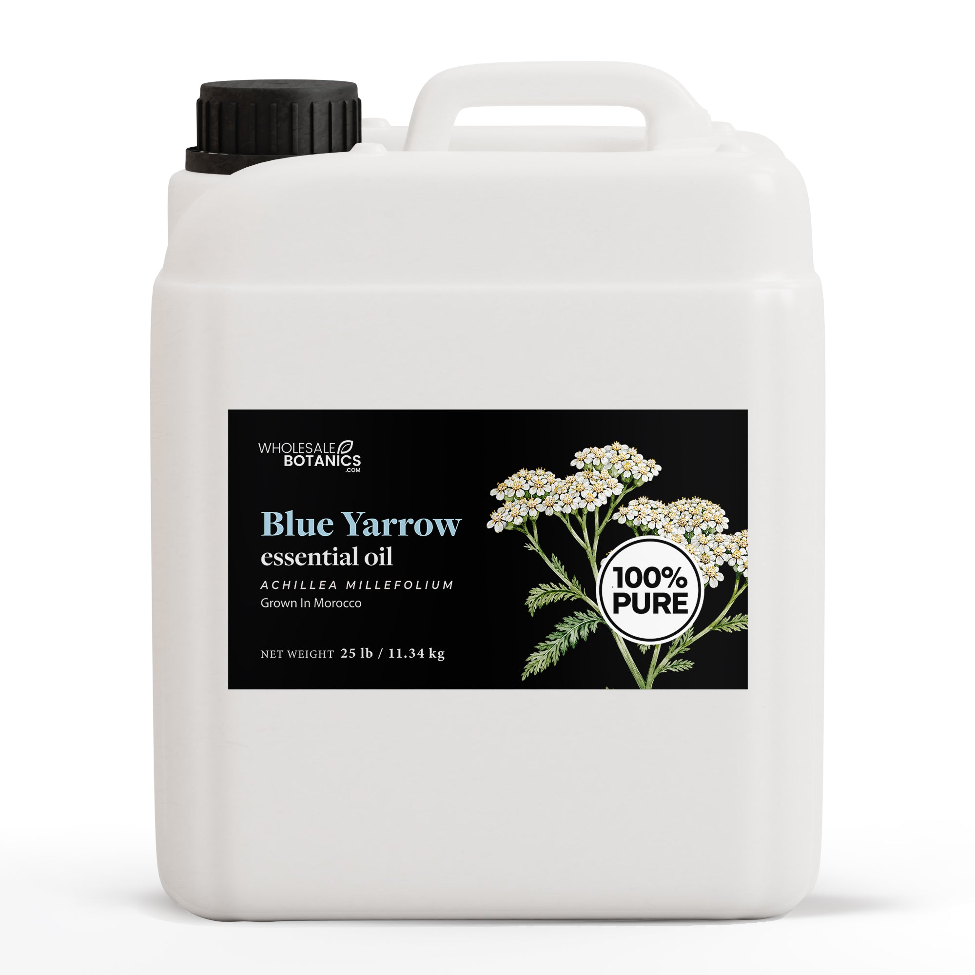 Blue Yarrow Essential Oil