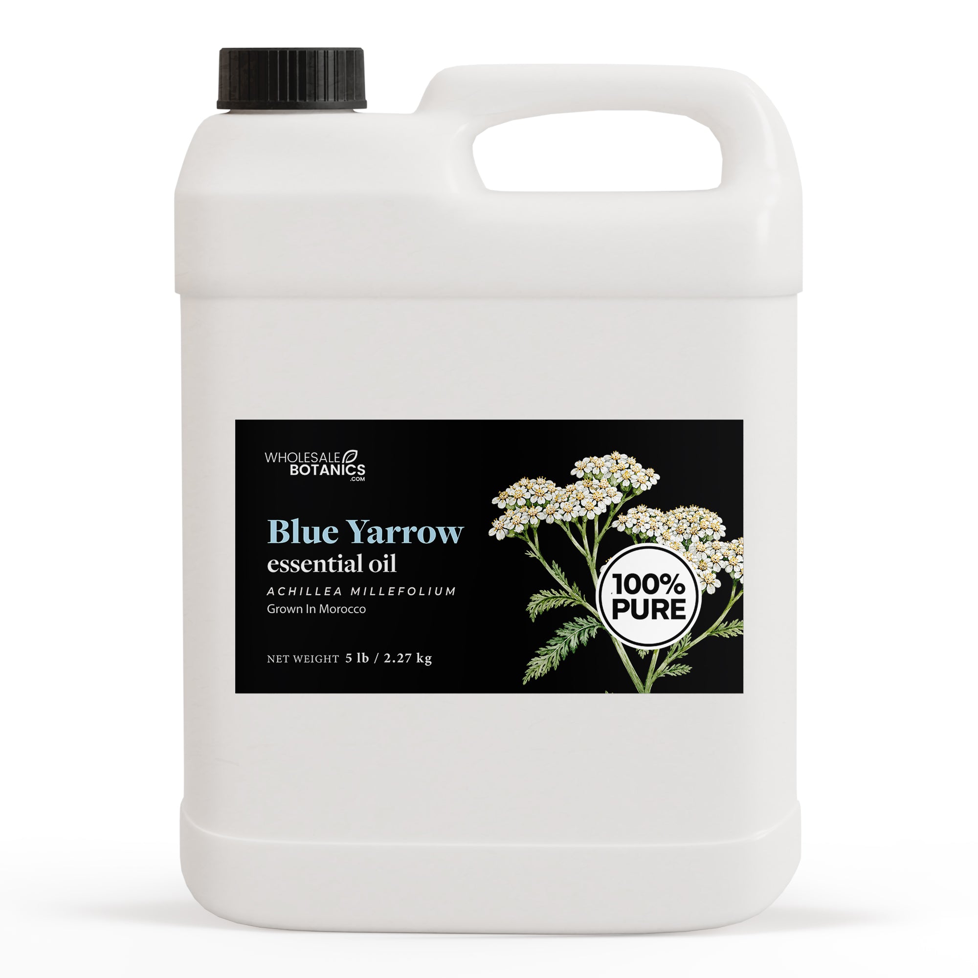 Blue Yarrow Essential Oil