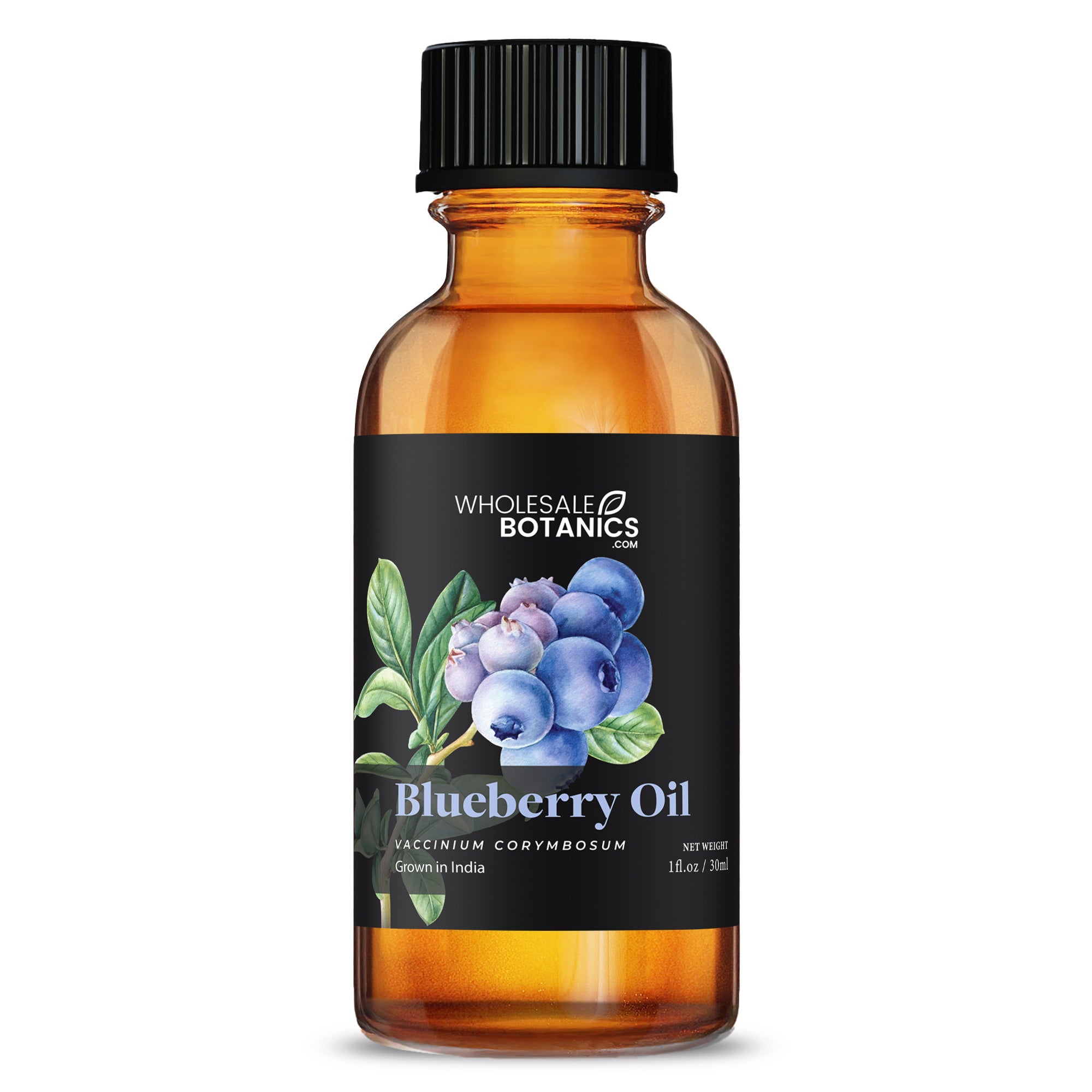 Blueberry Oil