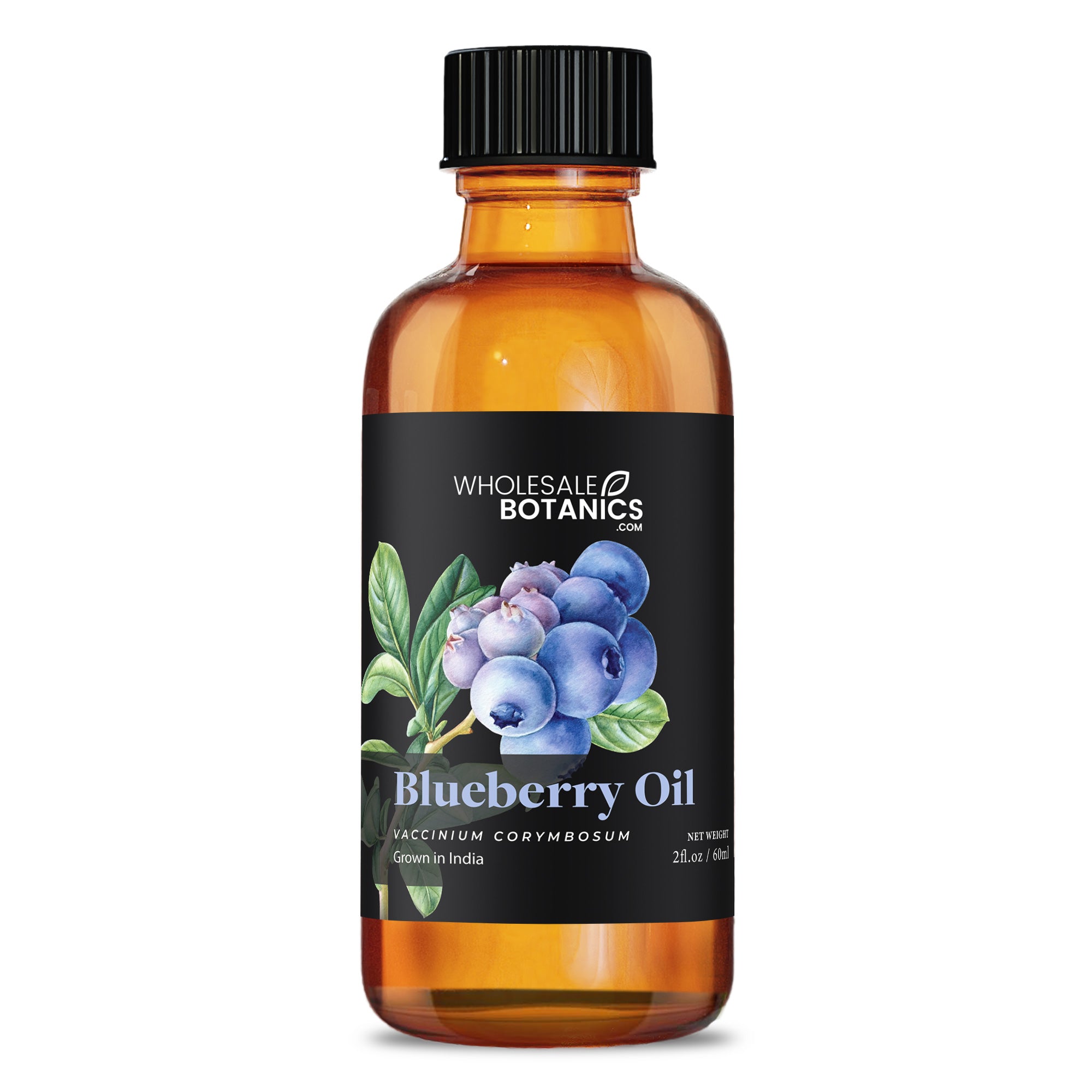 Blueberry Oil