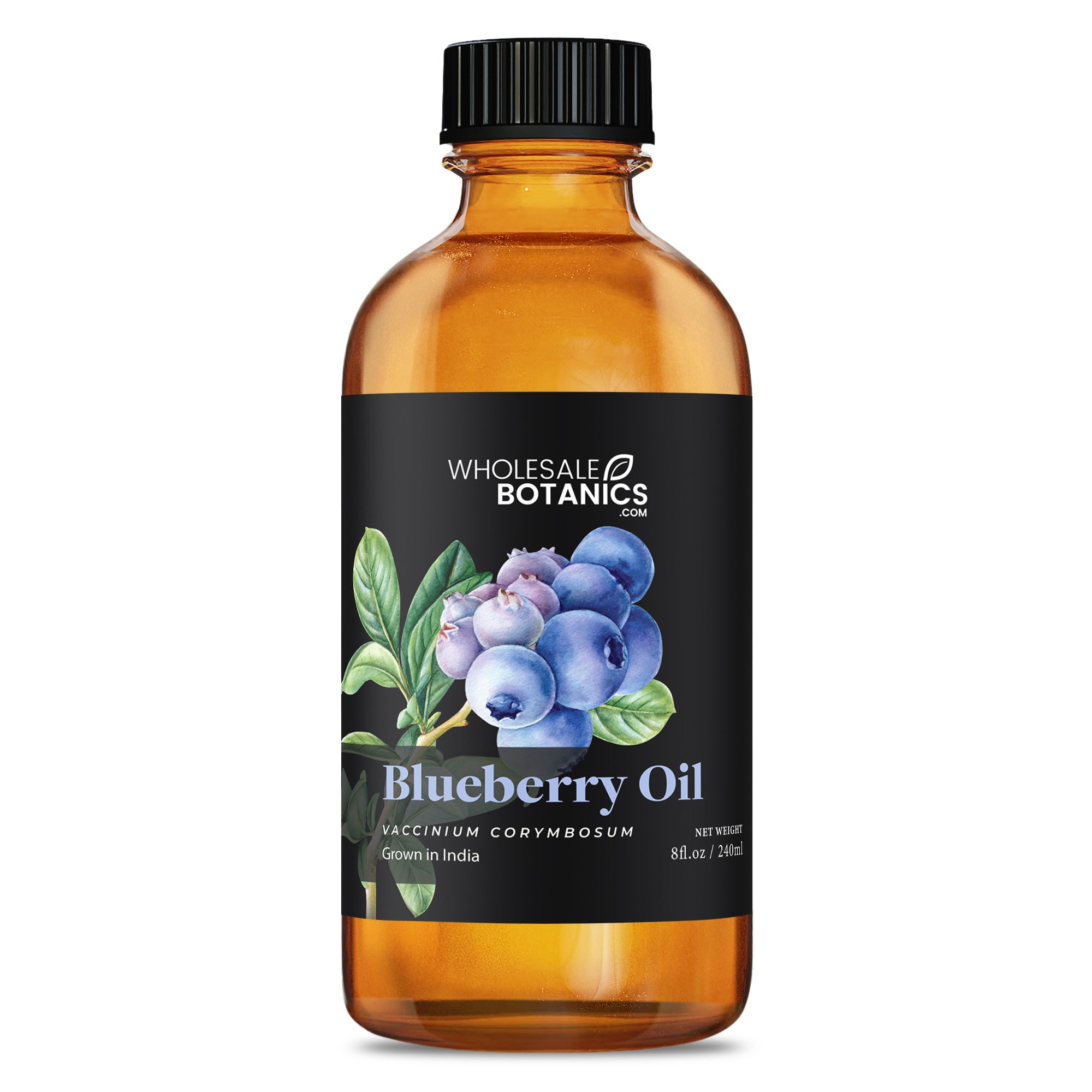 Blueberry Oil