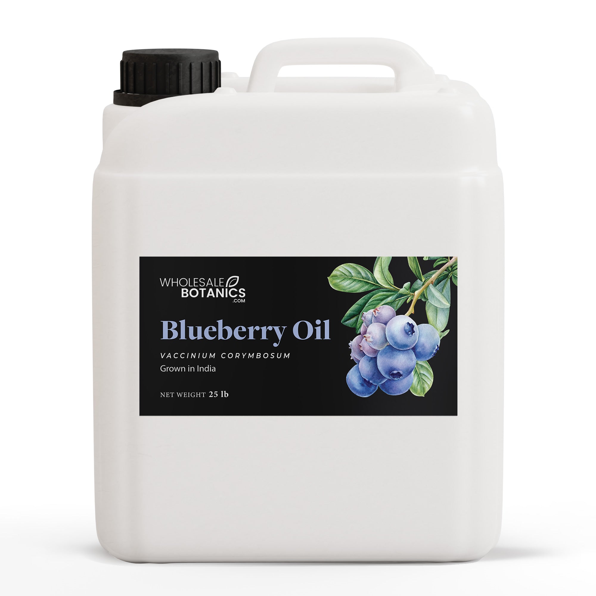 Blueberry Oil