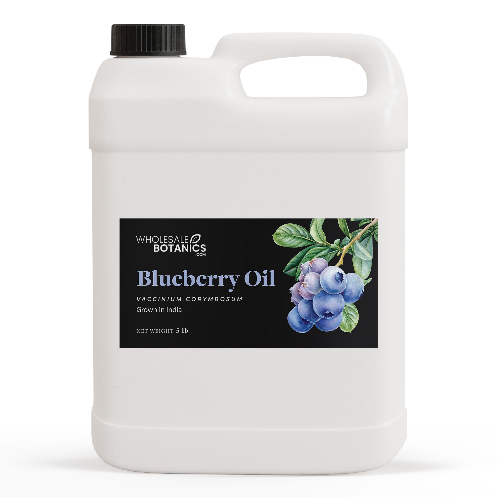 Blueberry Oil