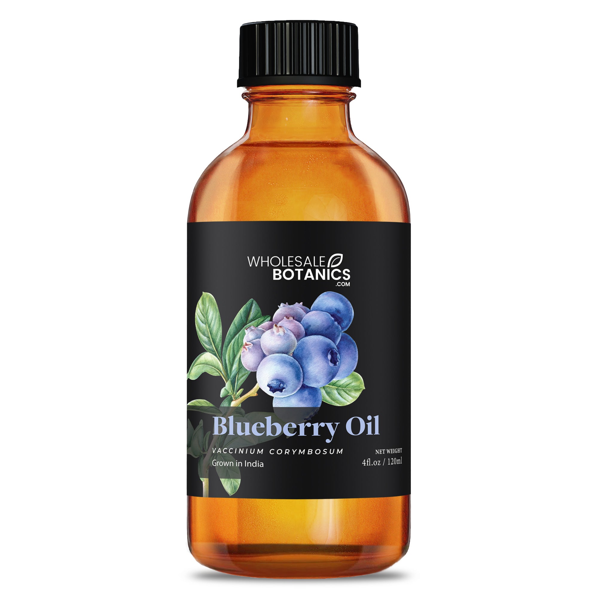 Blueberry Oil