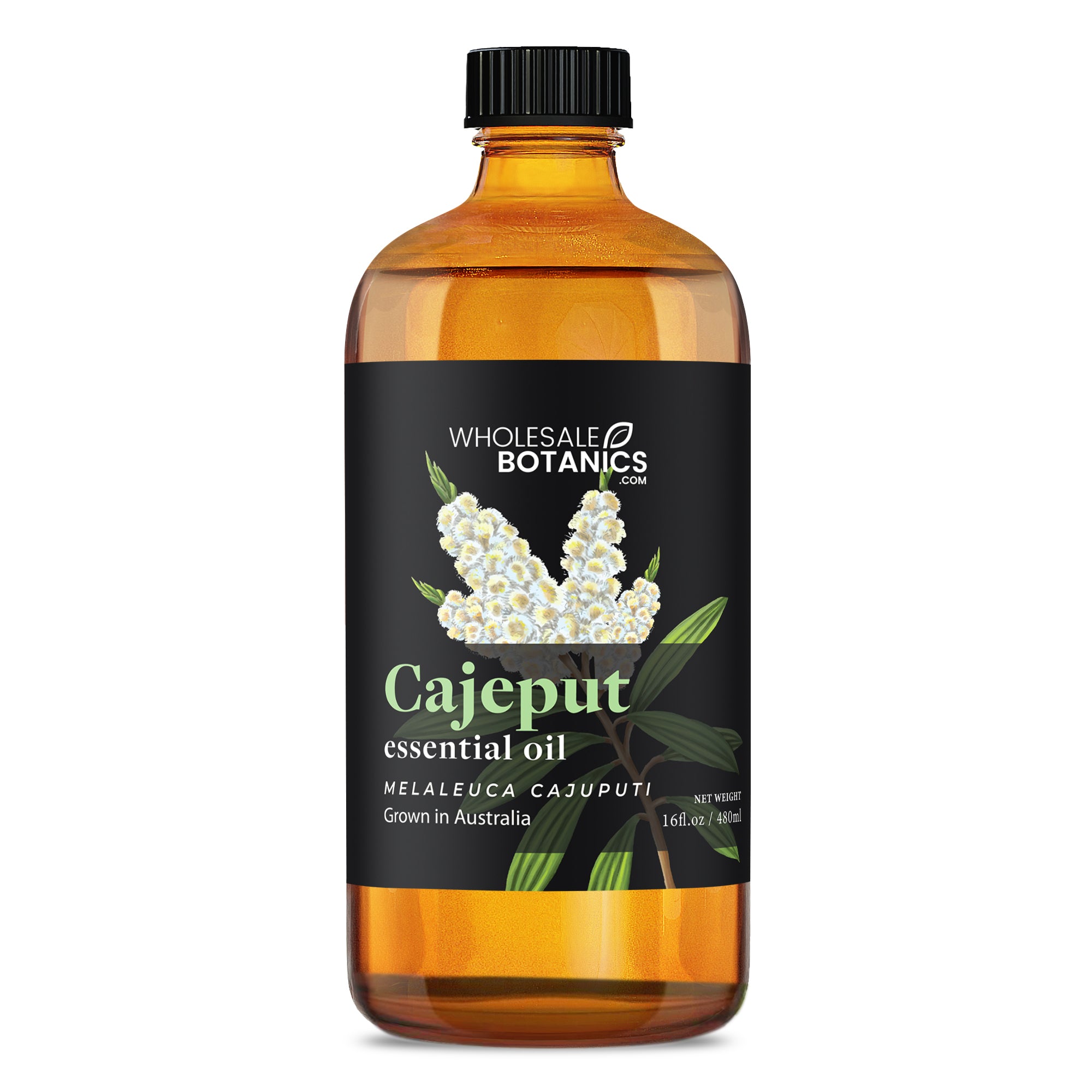 Cajeput Essential Oil