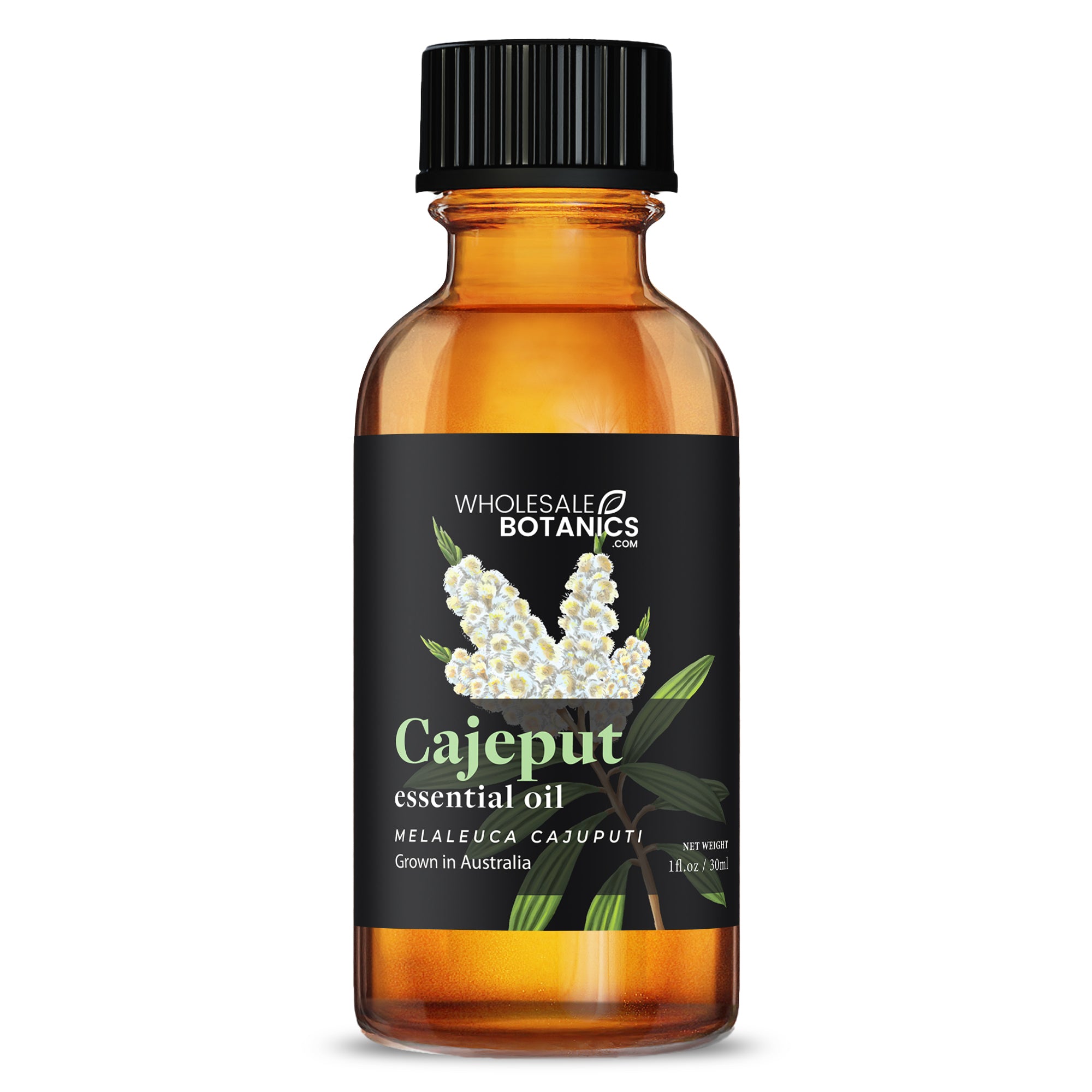 Cajeput Essential Oil