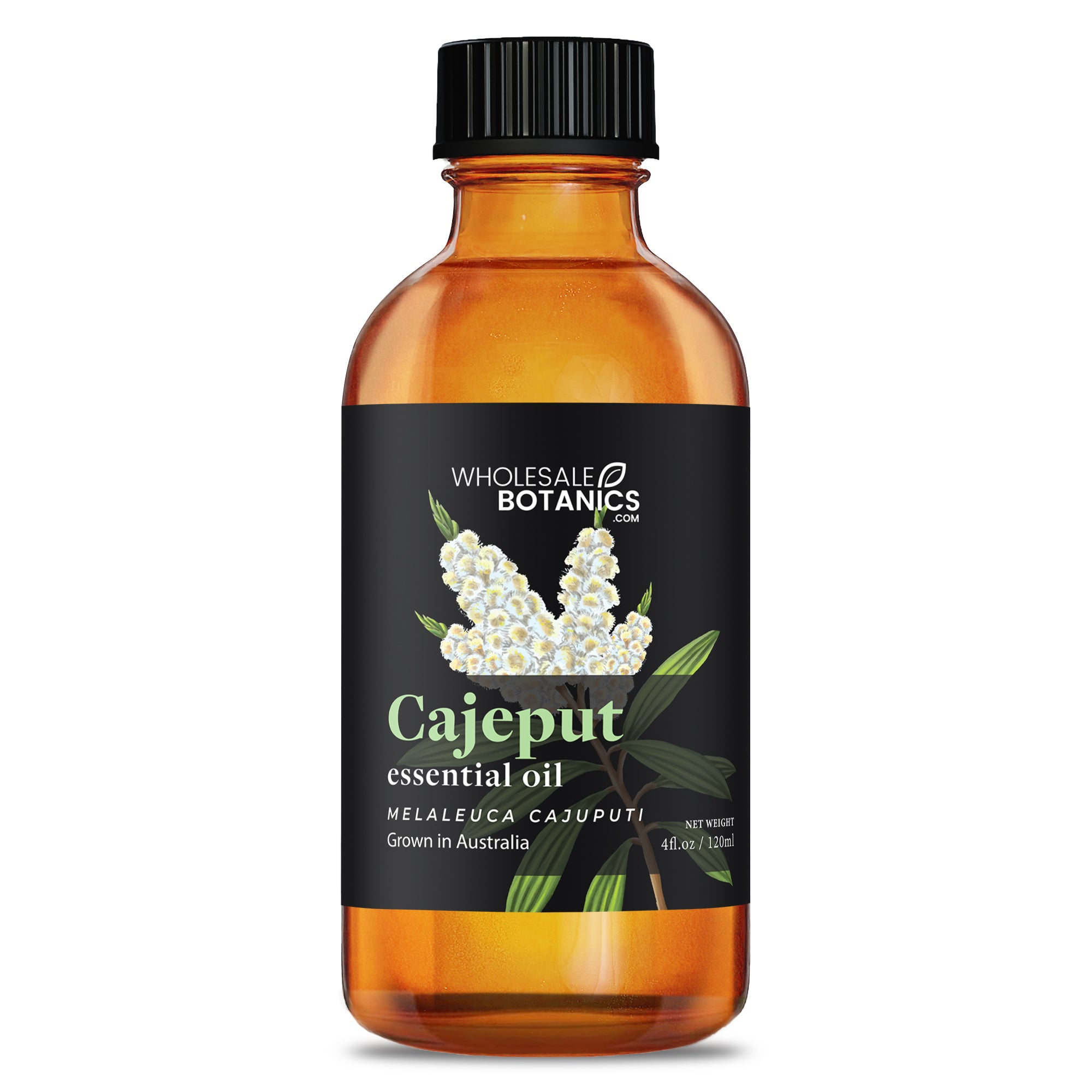 Cajeput Essential Oil