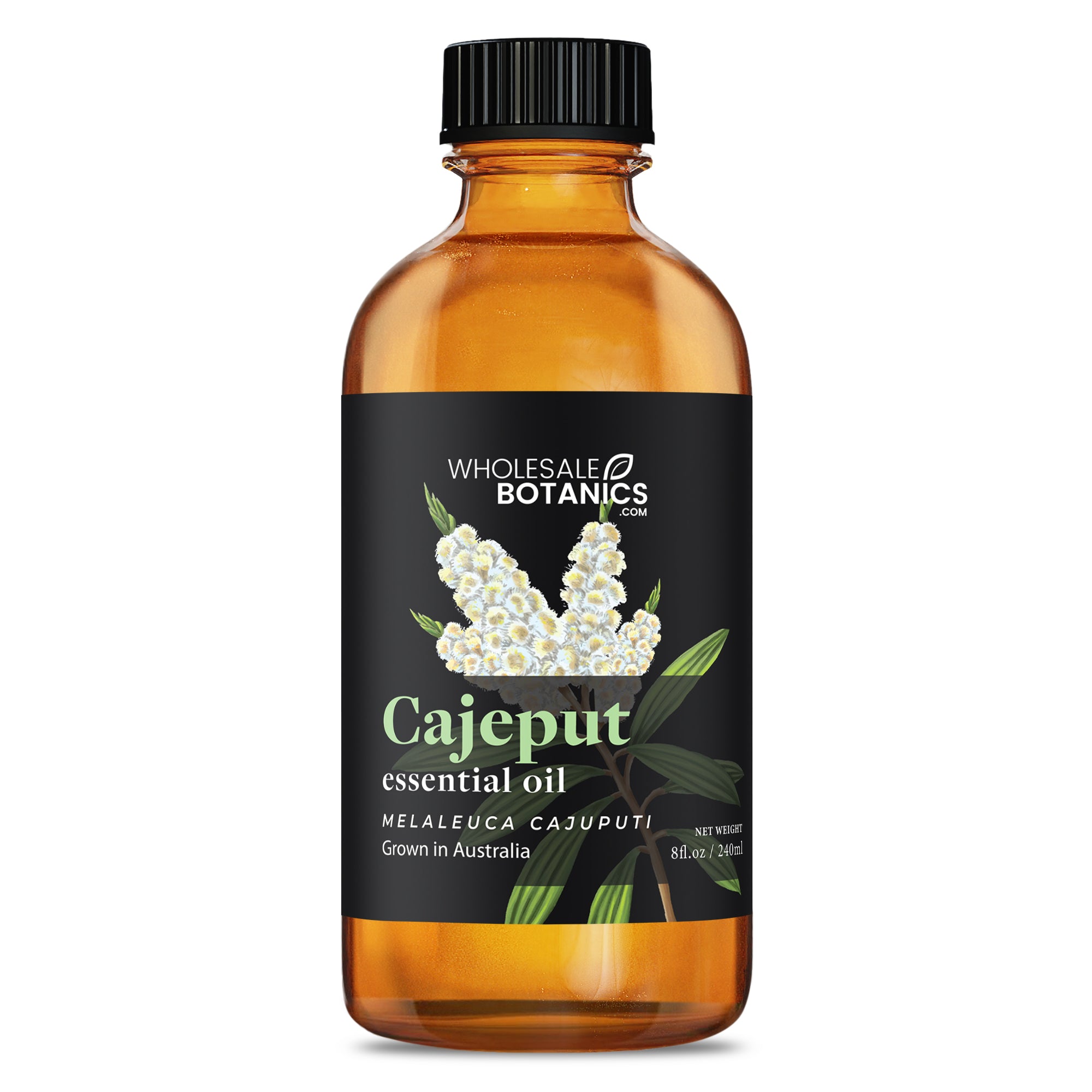 Cajeput Essential Oil