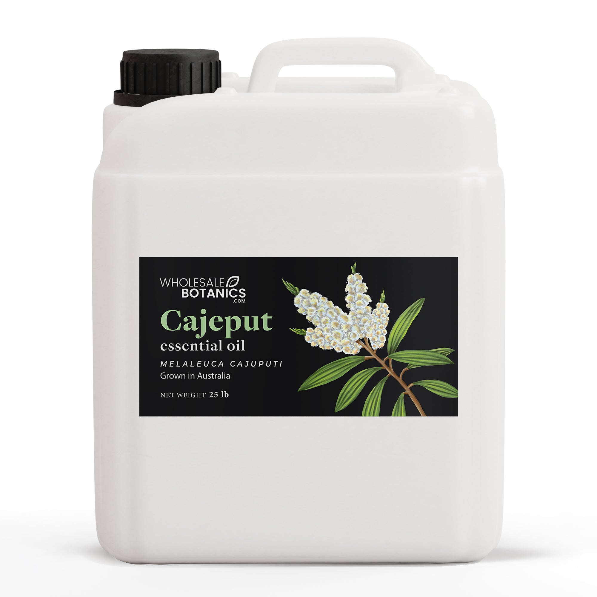 Cajeput Essential Oil