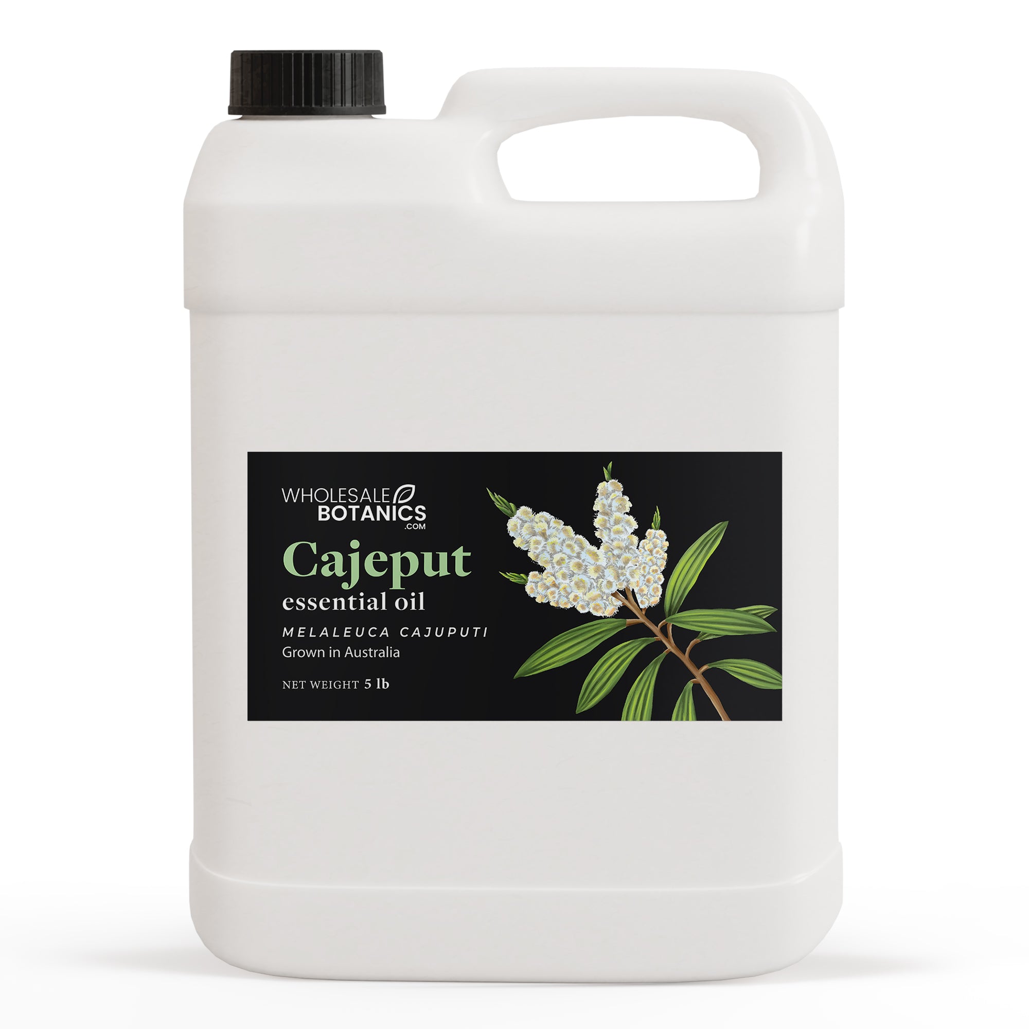 Cajeput Essential Oil