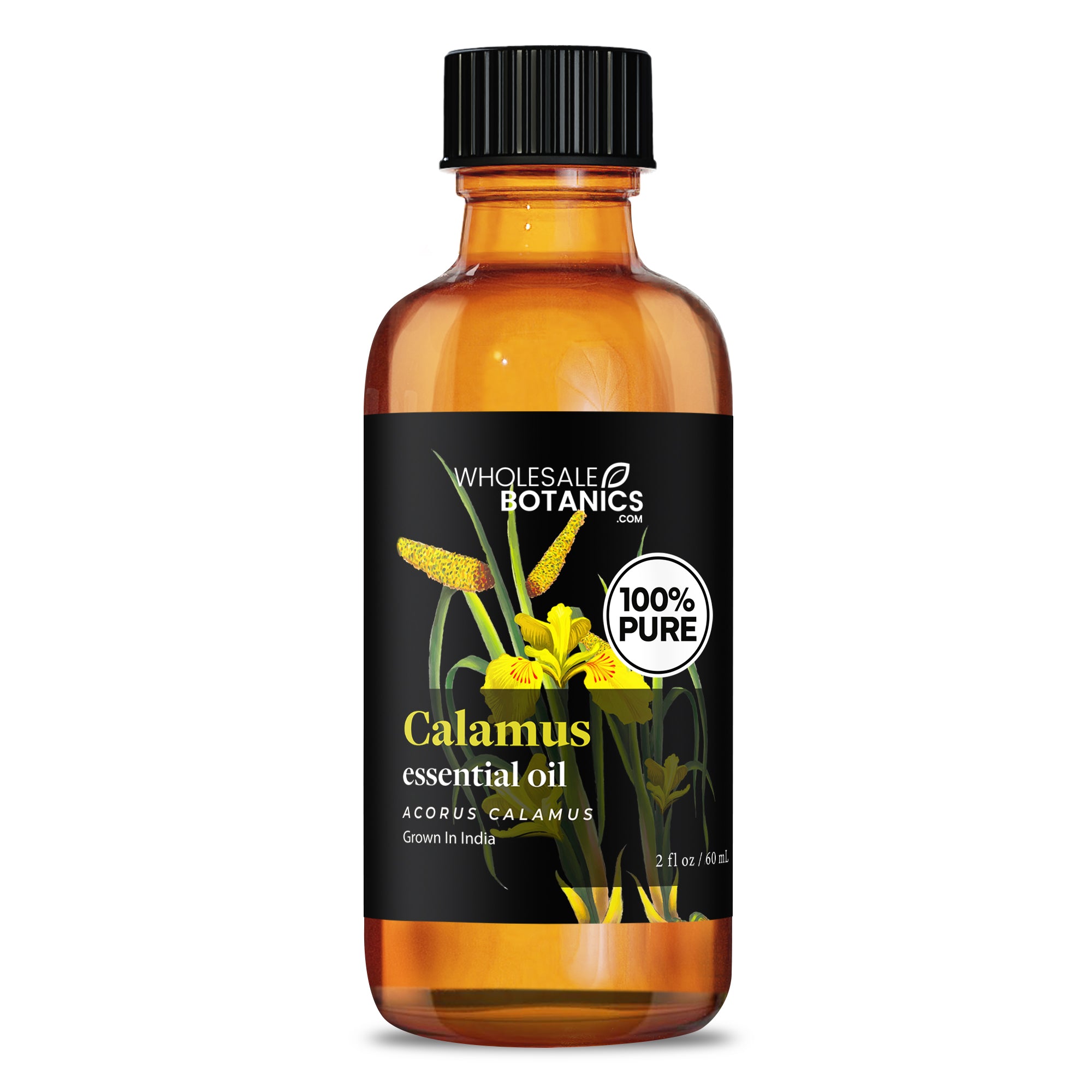 Calamus Essential Oil