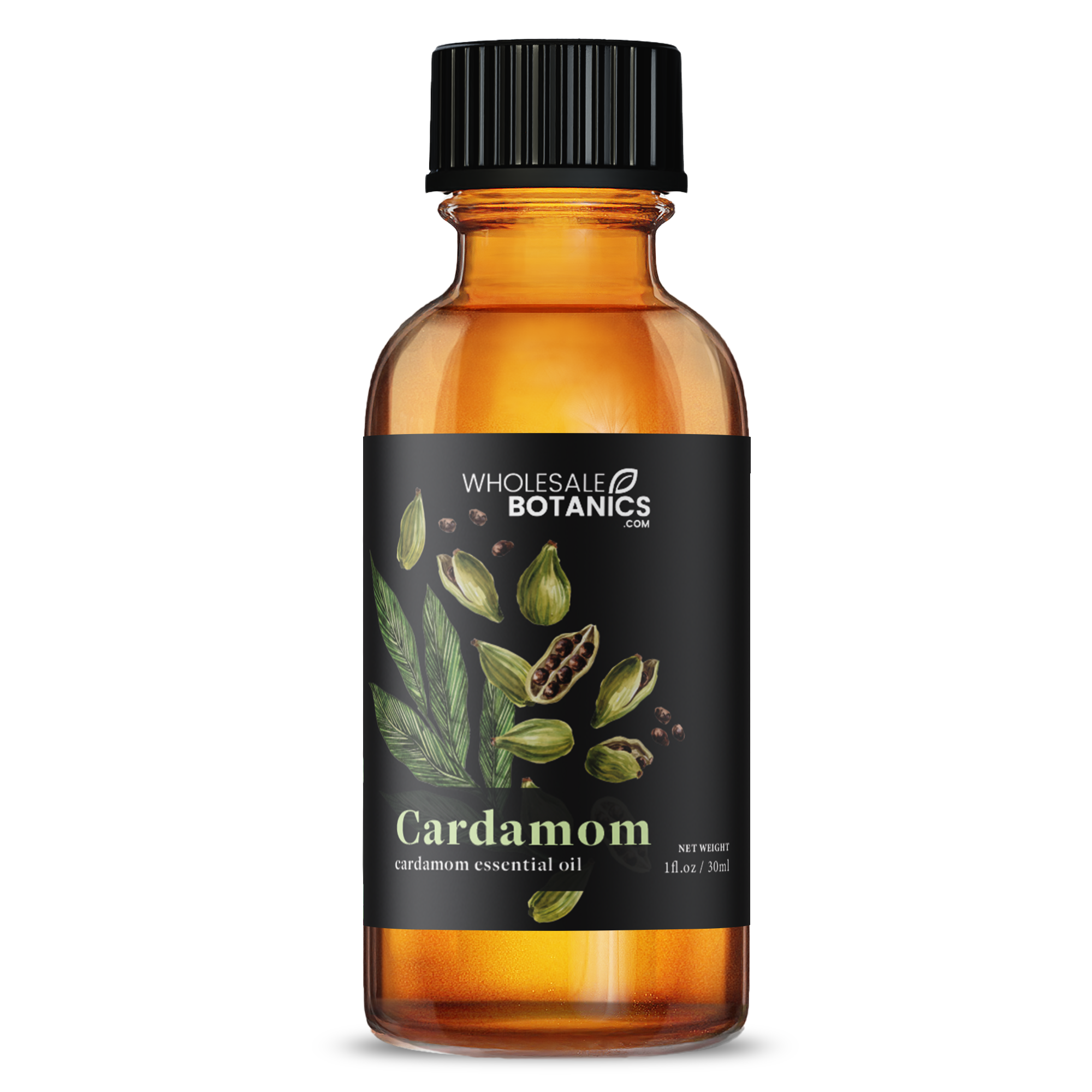 Cardamom Essential Oil - Botanical