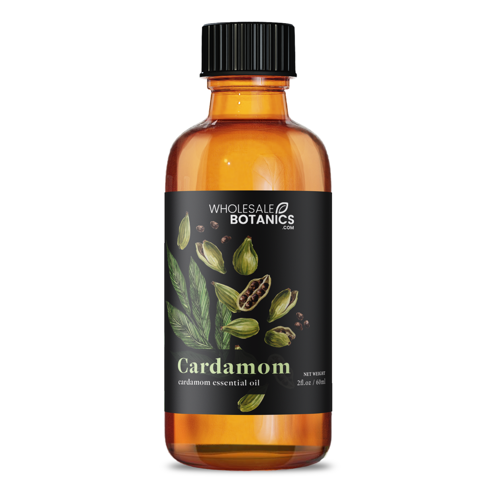 Cardamom Essential Oil - Botanical
