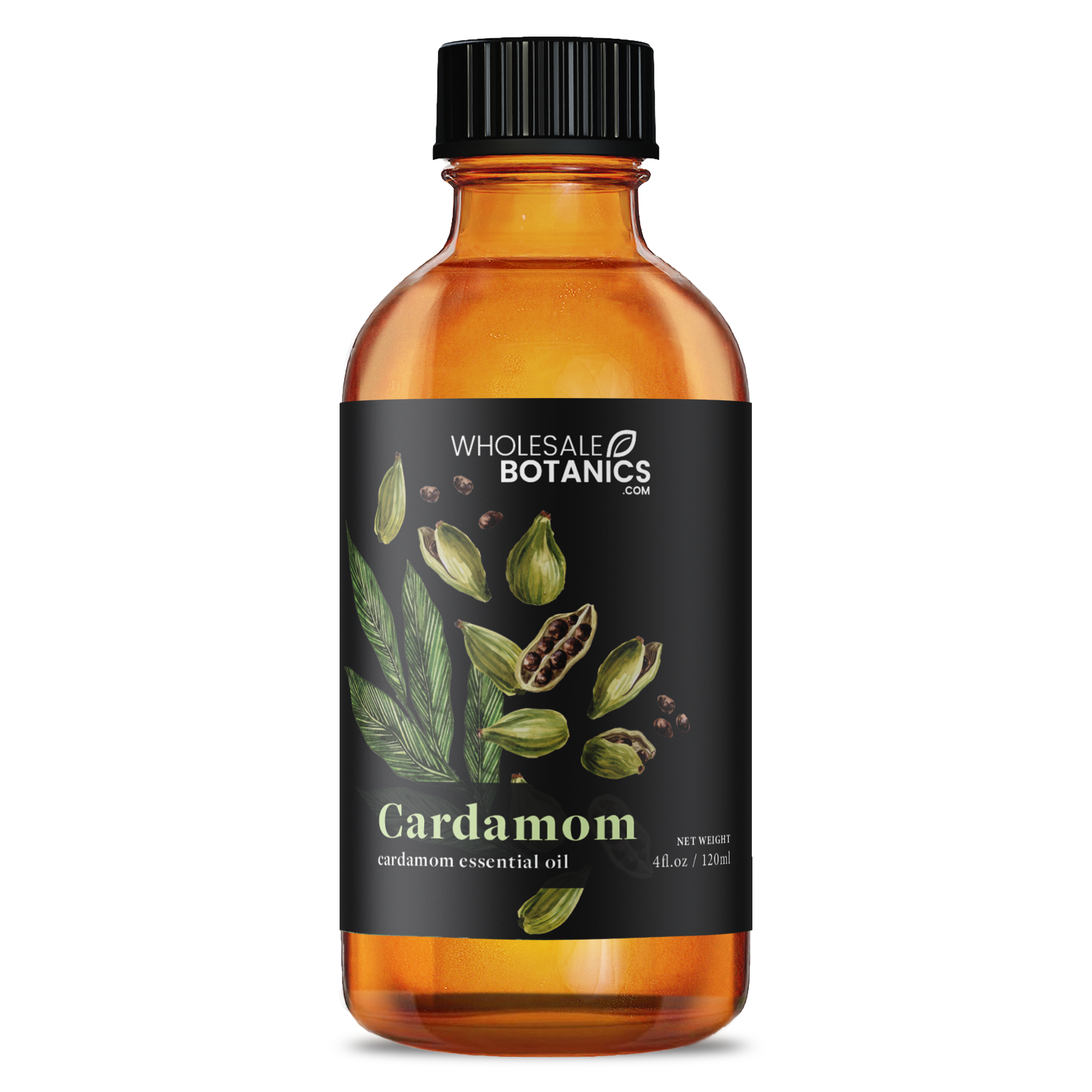 Cardamom Essential Oil - Botanical