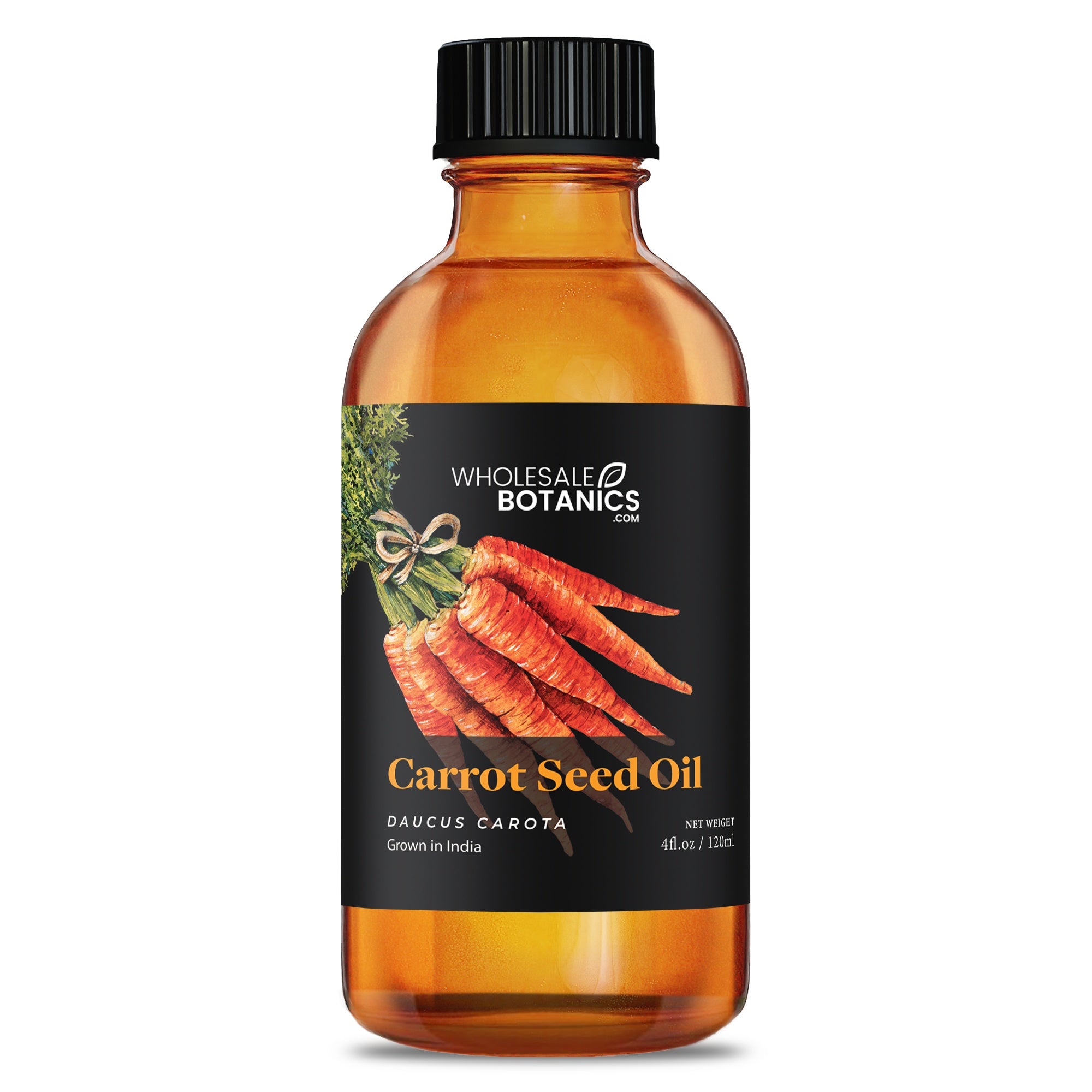 Carrot Seed Carrier Oil - 4 oz