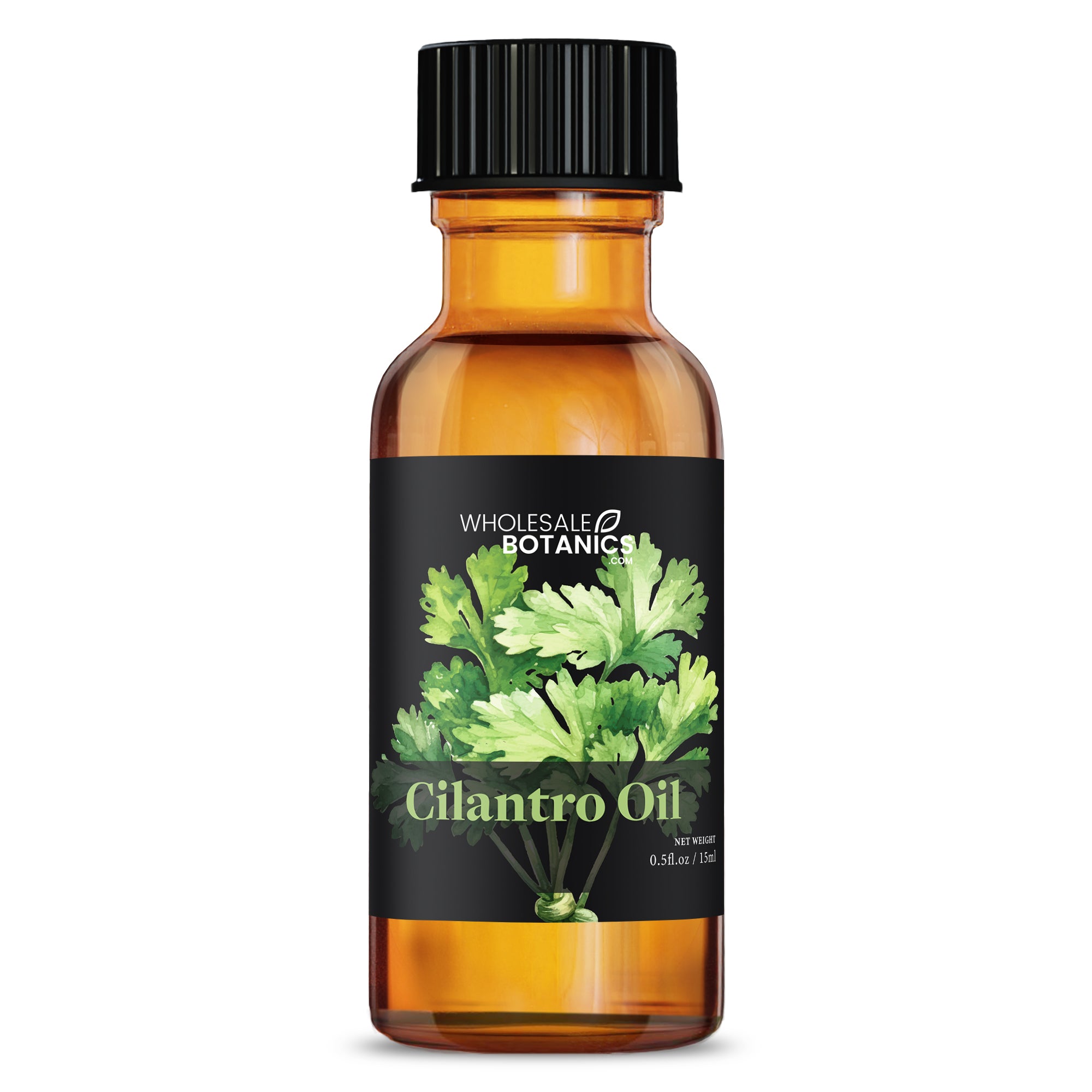 Cilantro Oil