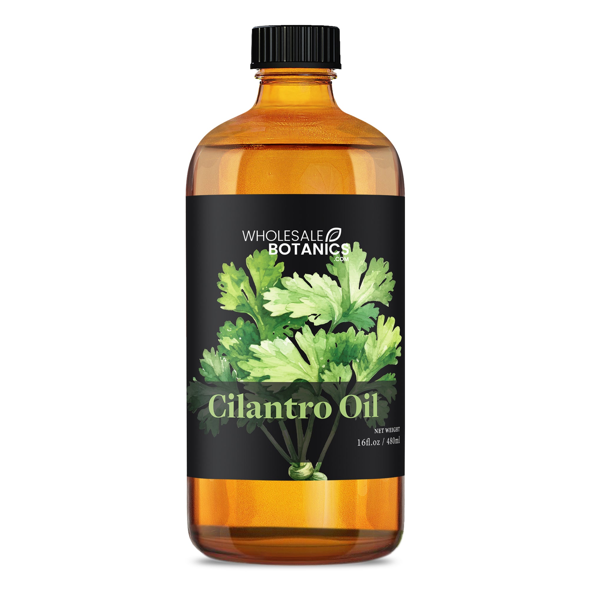 Cilantro Oil