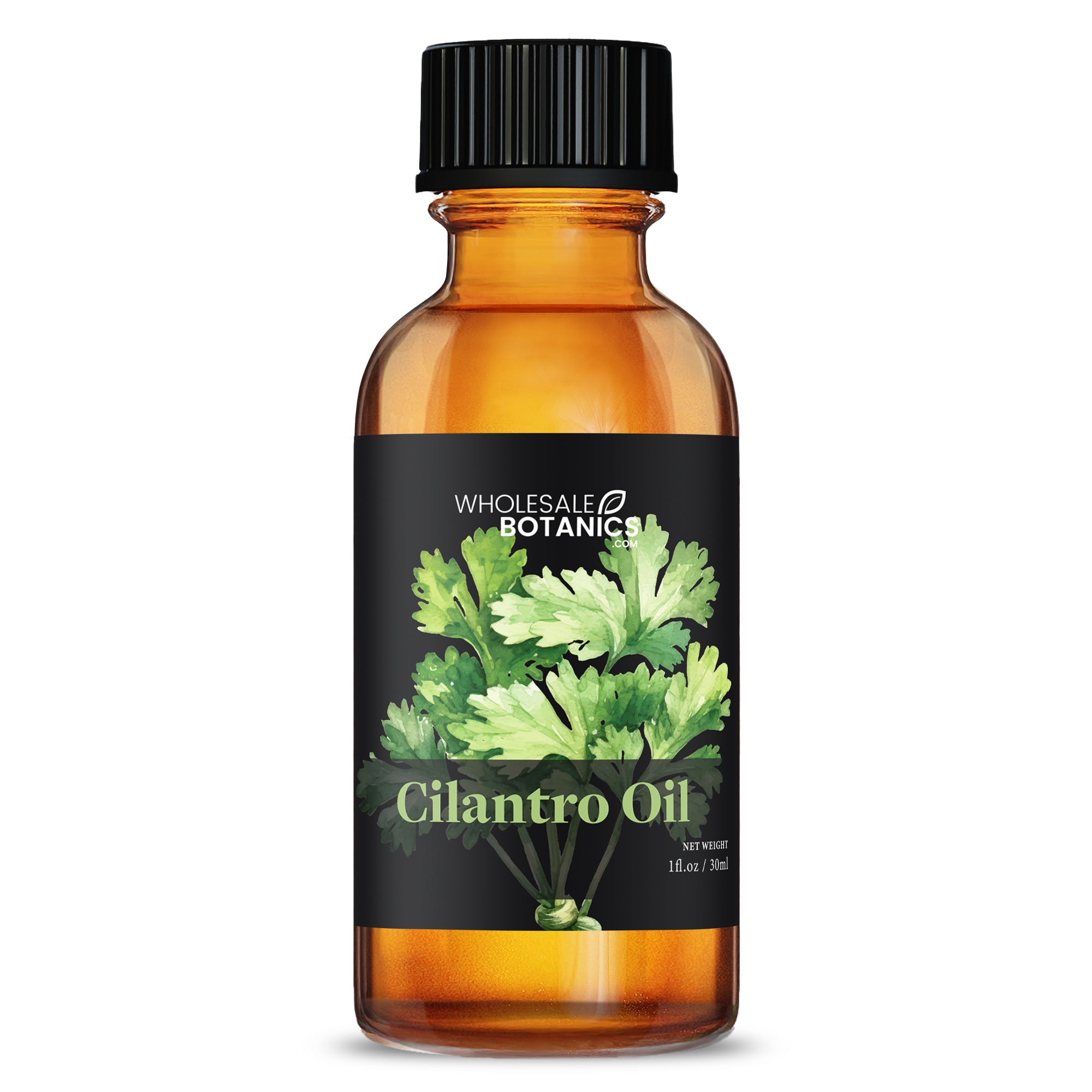 Cilantro Oil